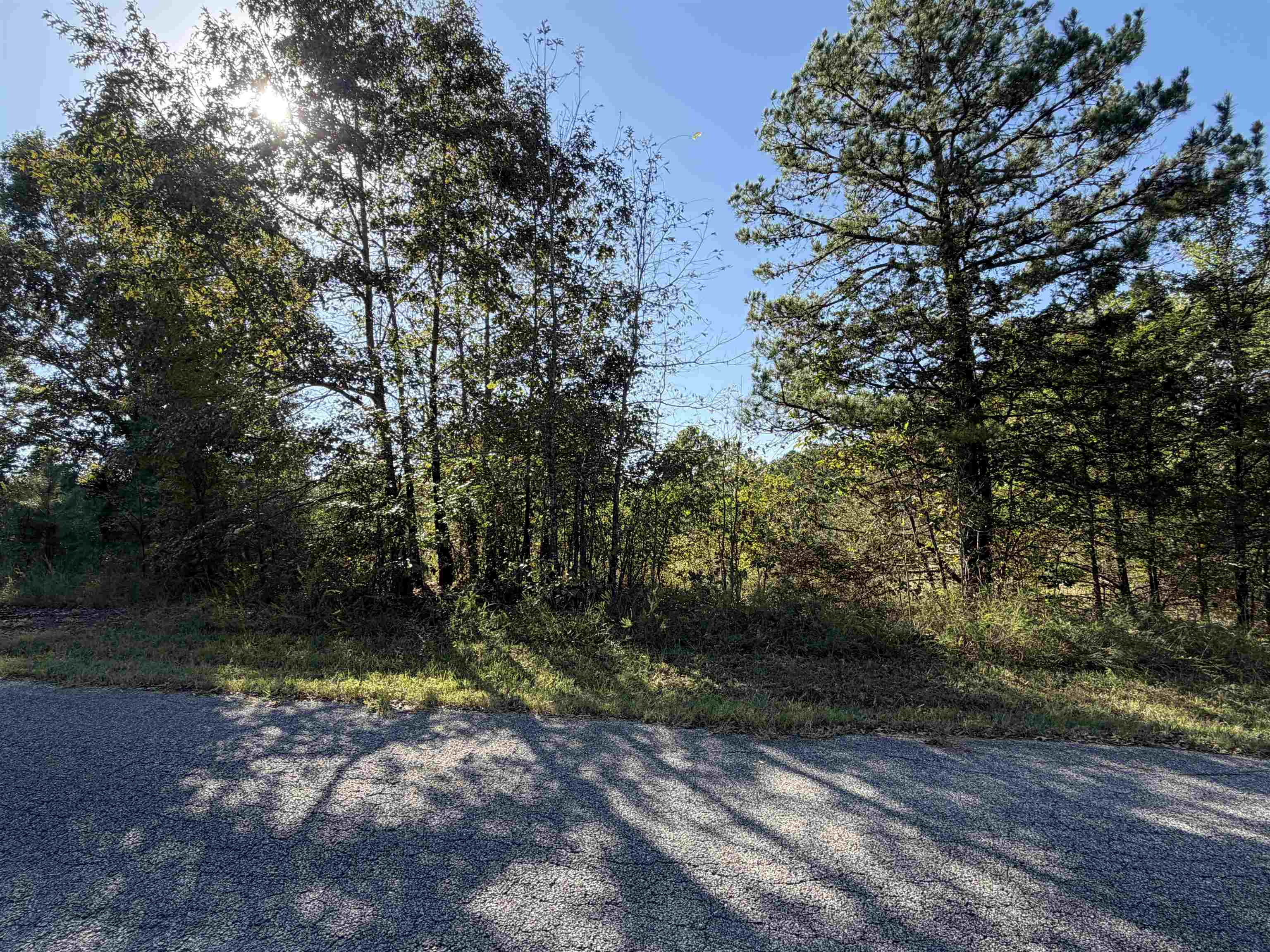 Lot 31 Plantation Circle Property Photo 3
