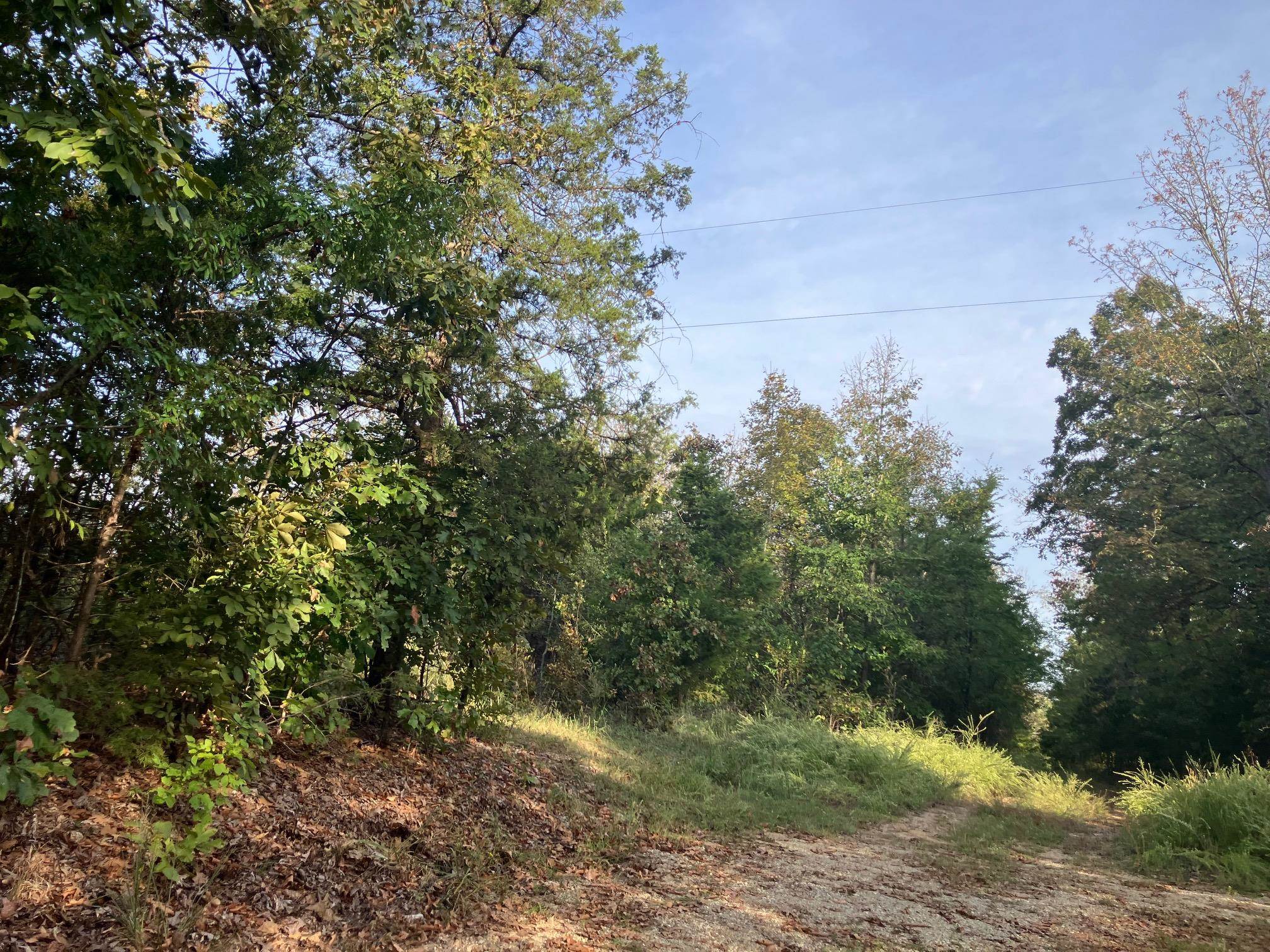 Tbd Hwy 62/412 Property Photo 3