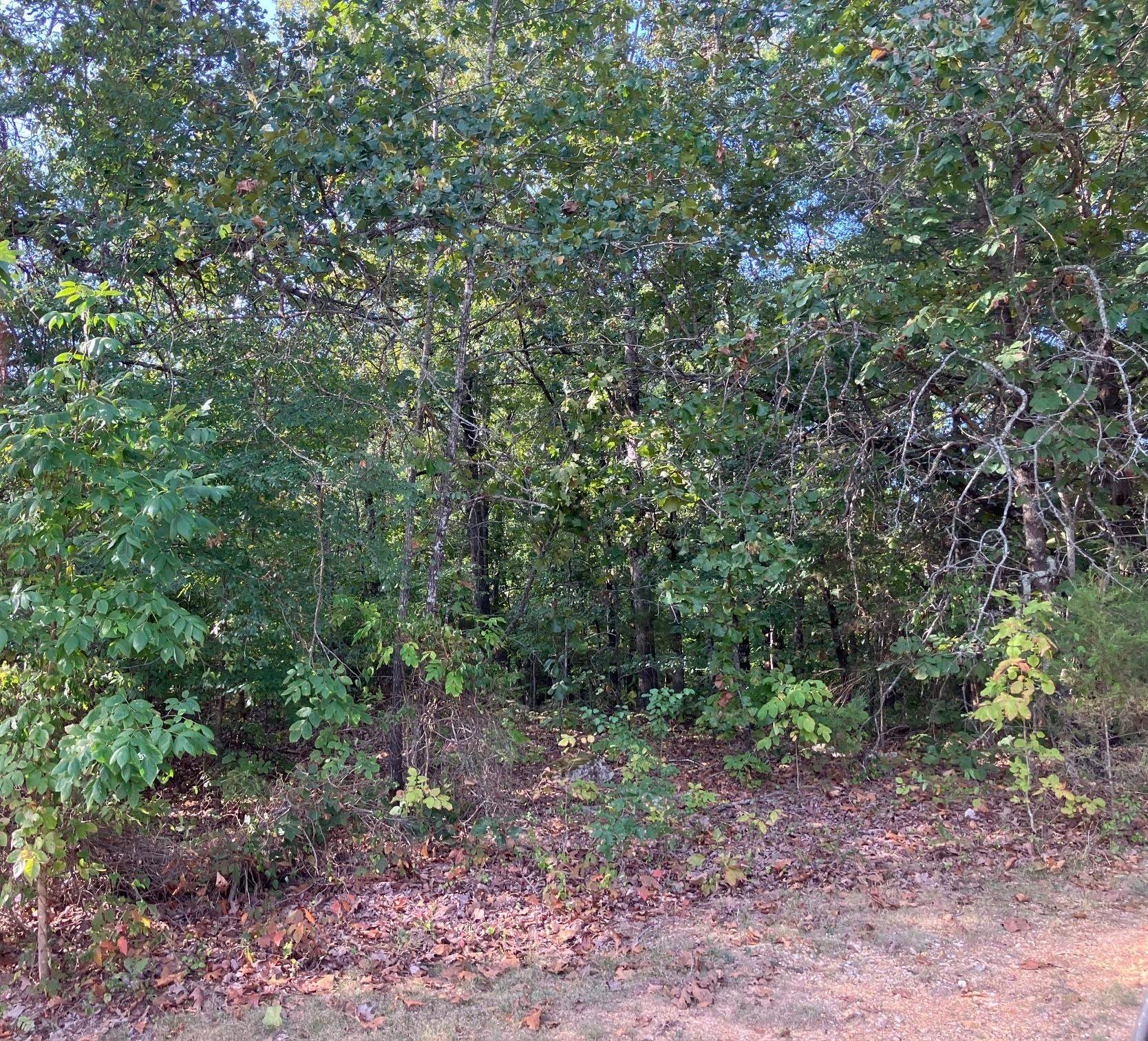 Lot 2 N Hwy 63 Property Photo 5