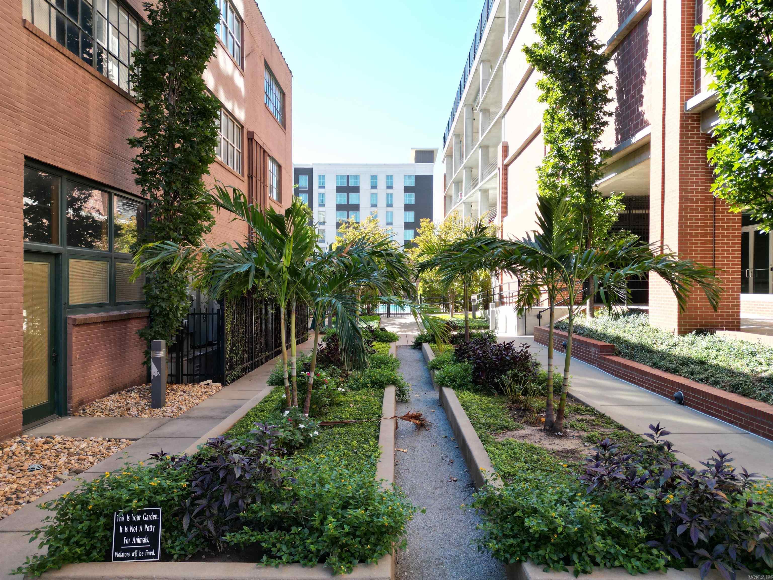 423 E 3rd St #courtyard 5 Property Photo 25