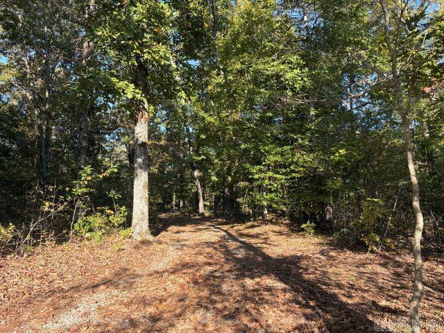 855 Mc 6062 Property Photo 21
