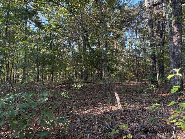 855 Mc 6062 Property Photo 22