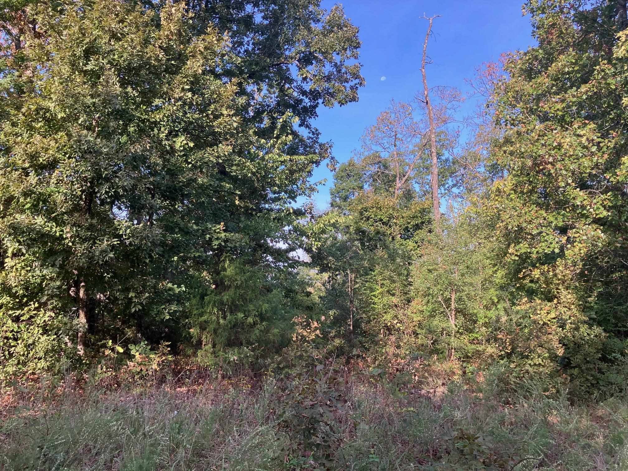 Tbd Tucker Road Property Photo 1