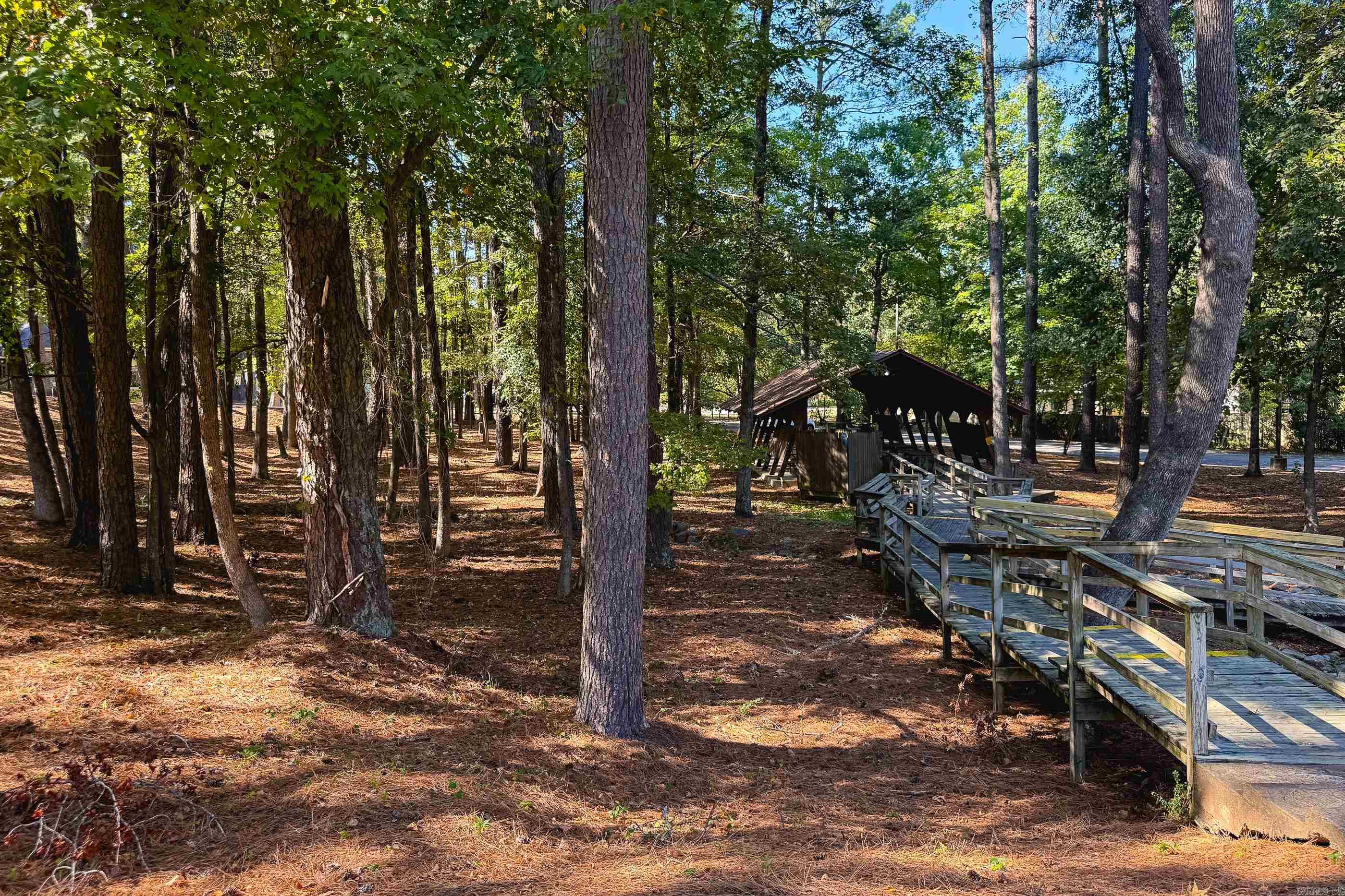 11004 Dogwood Cove Property Photo 42