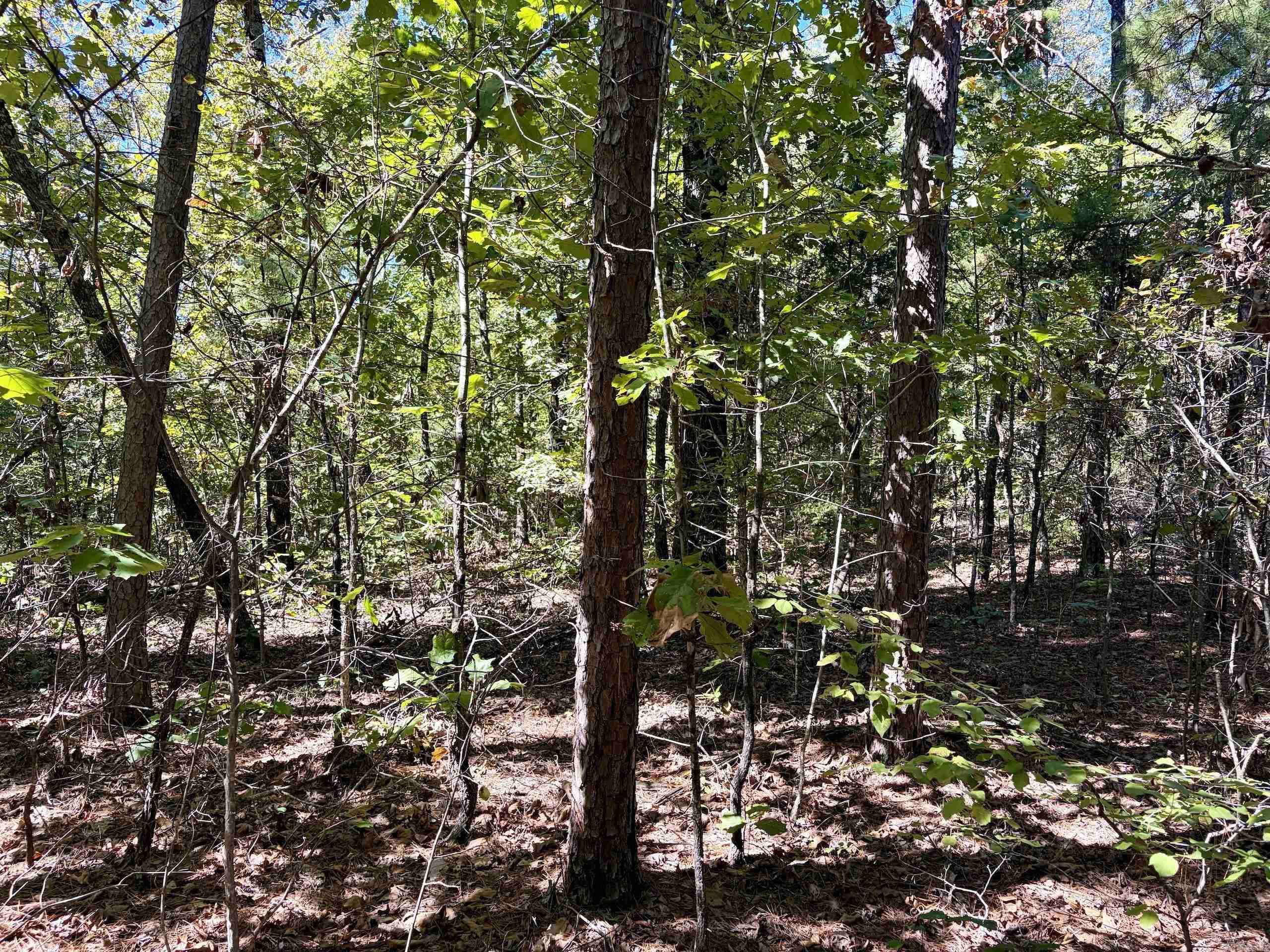 000 Porter Road Property Photo 3