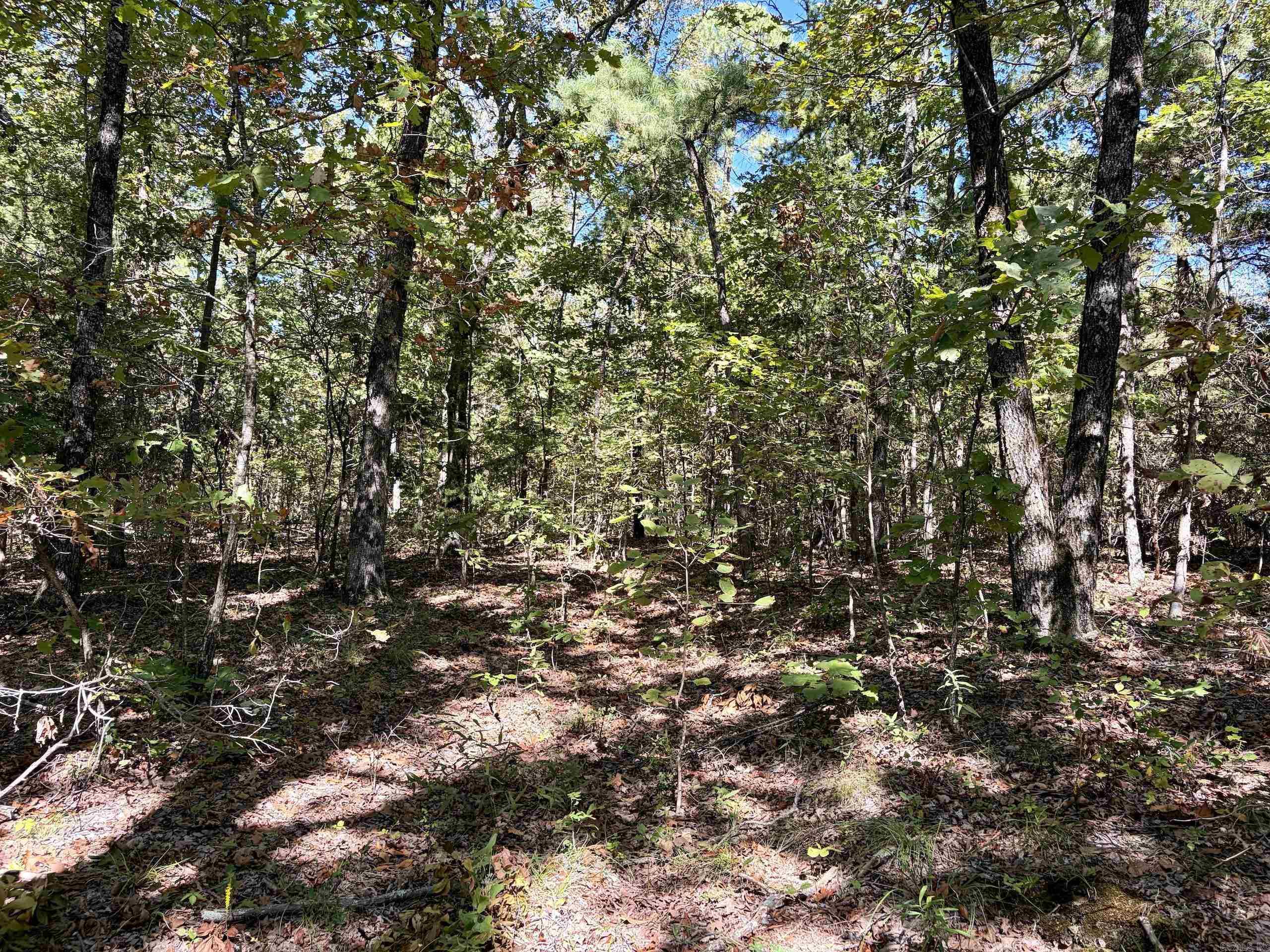 000 Porter Road Property Photo 8