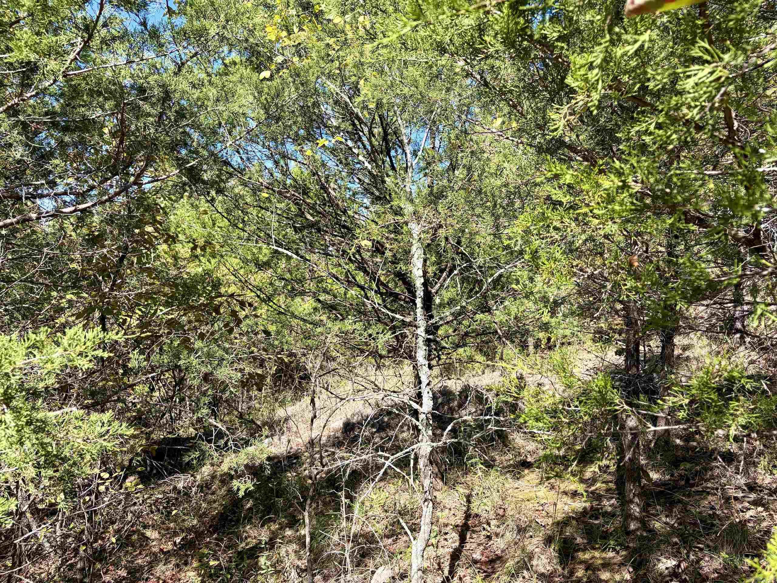 000 Porter Road Property Photo 13