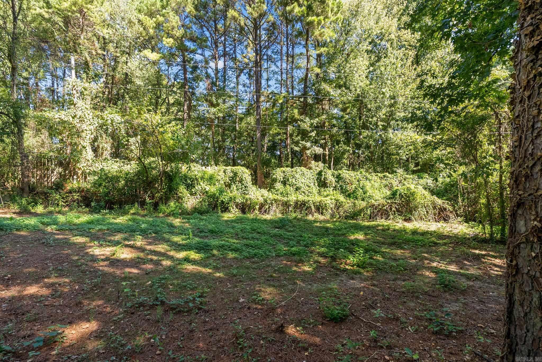 1220 Jameson Avenue Property Photo 47
