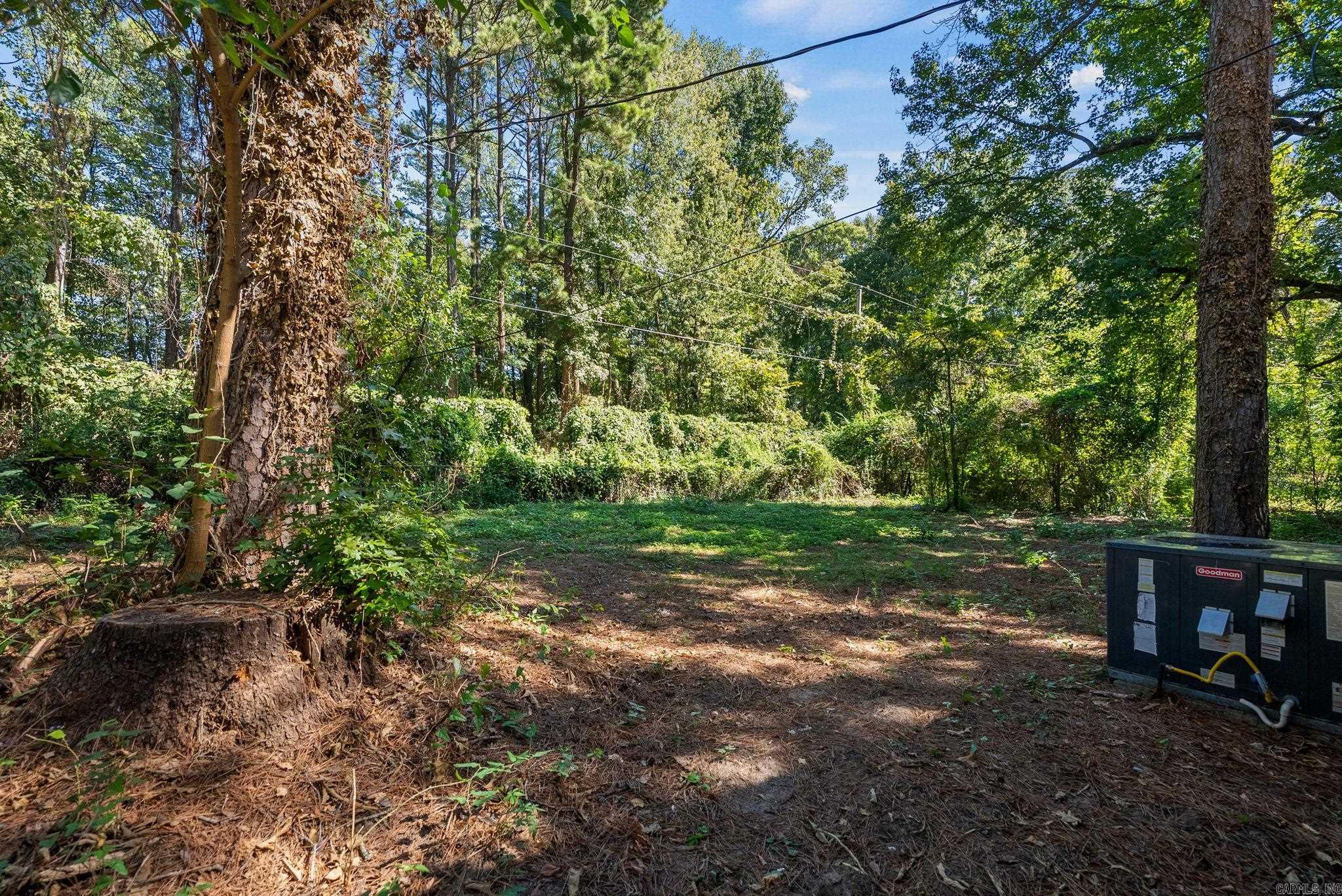 1220 Jameson Avenue Property Photo 48