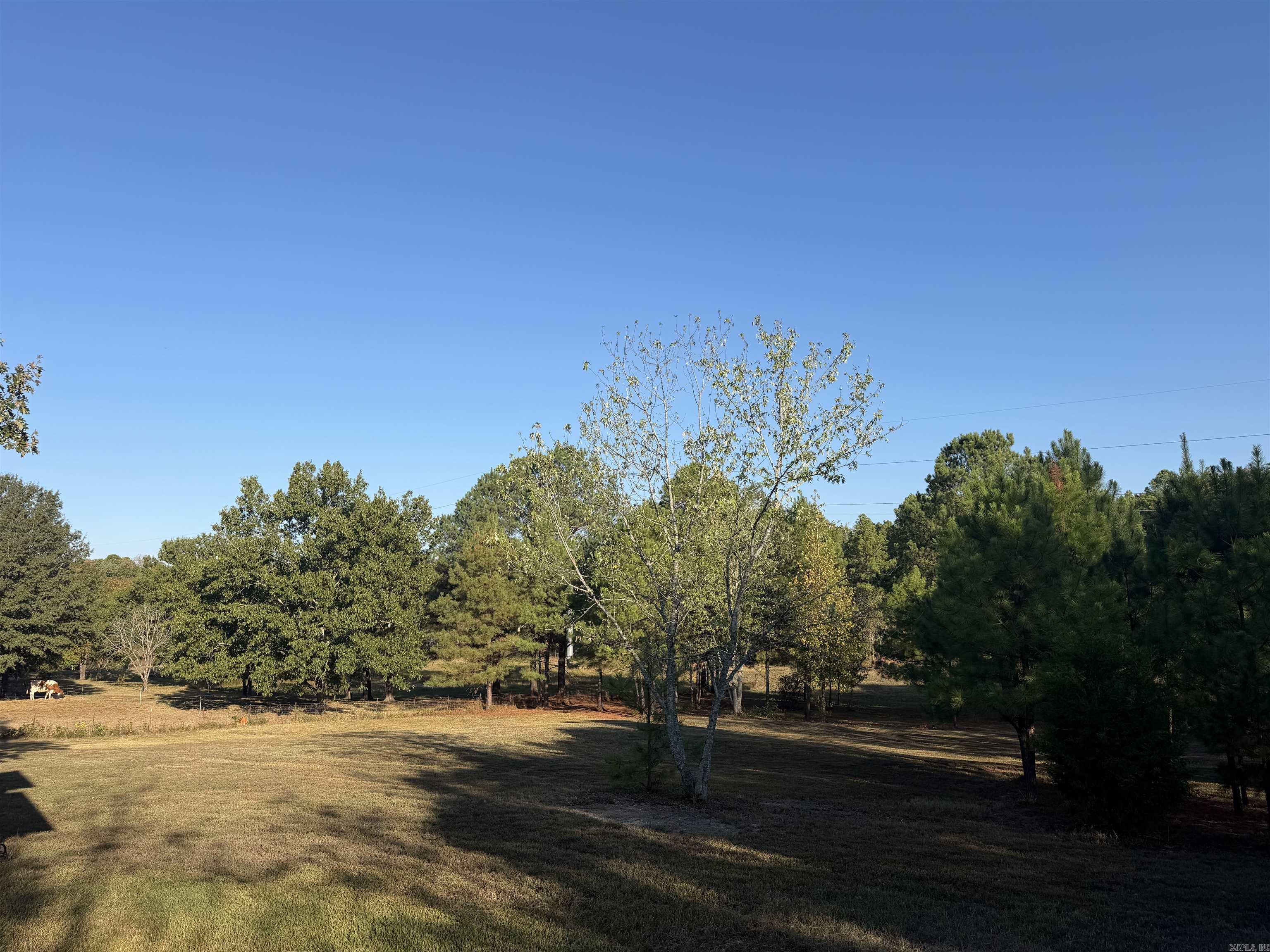 196 Fortress Lane Property Photo 36