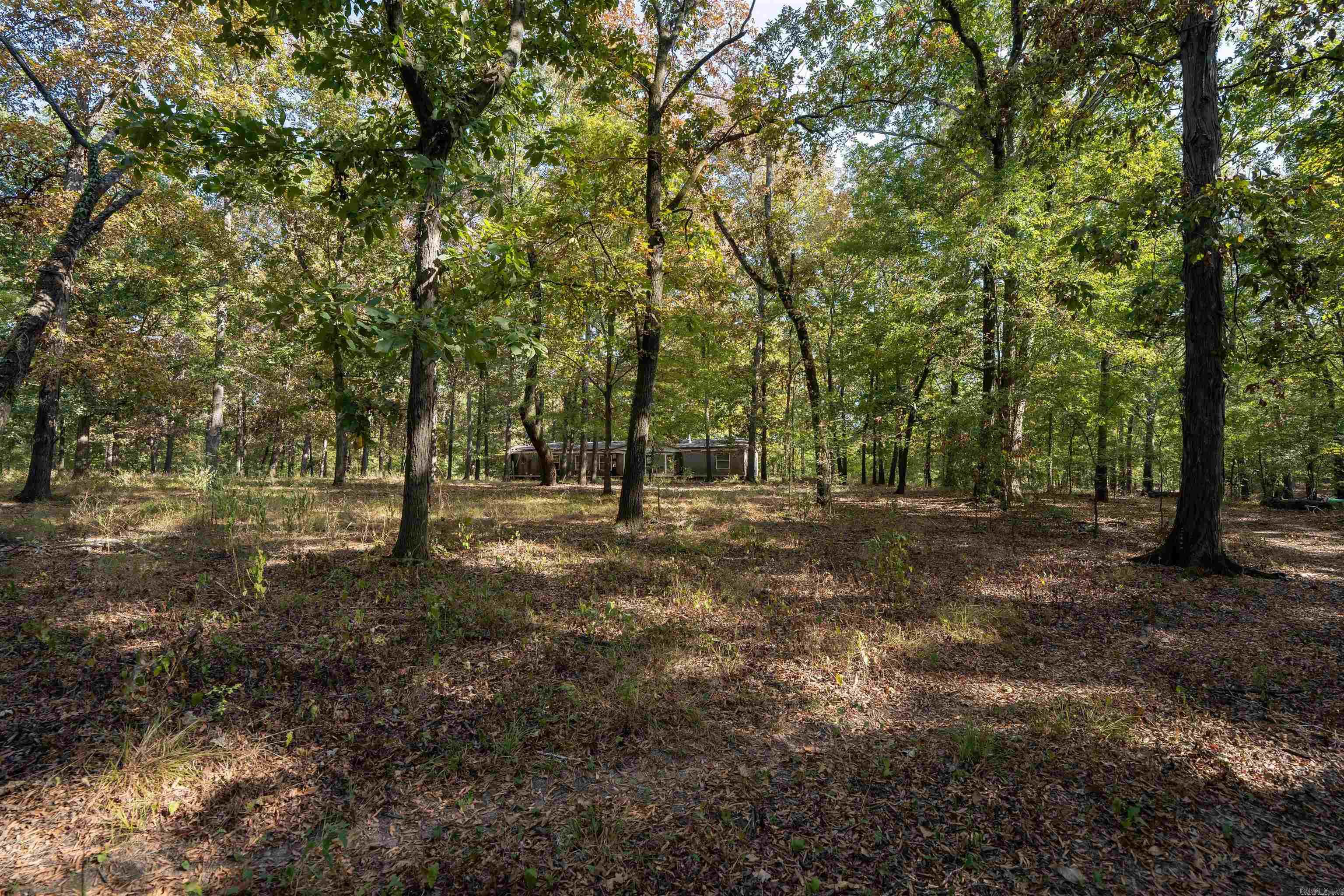 Lots4,5,7,8a,10 Evans Road Property Photo 29