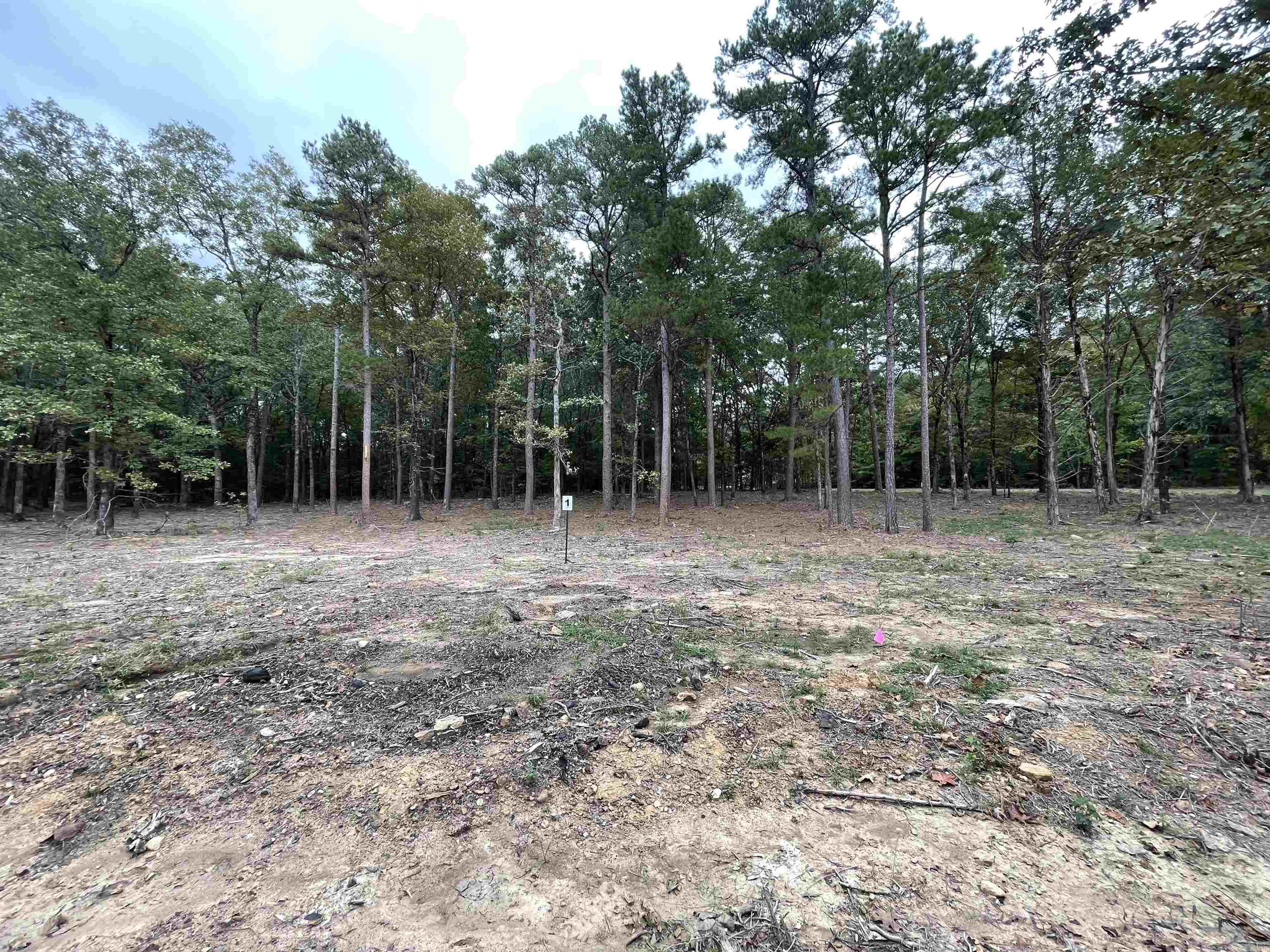 Lot 1 Hudson Pointe Property Photo 4