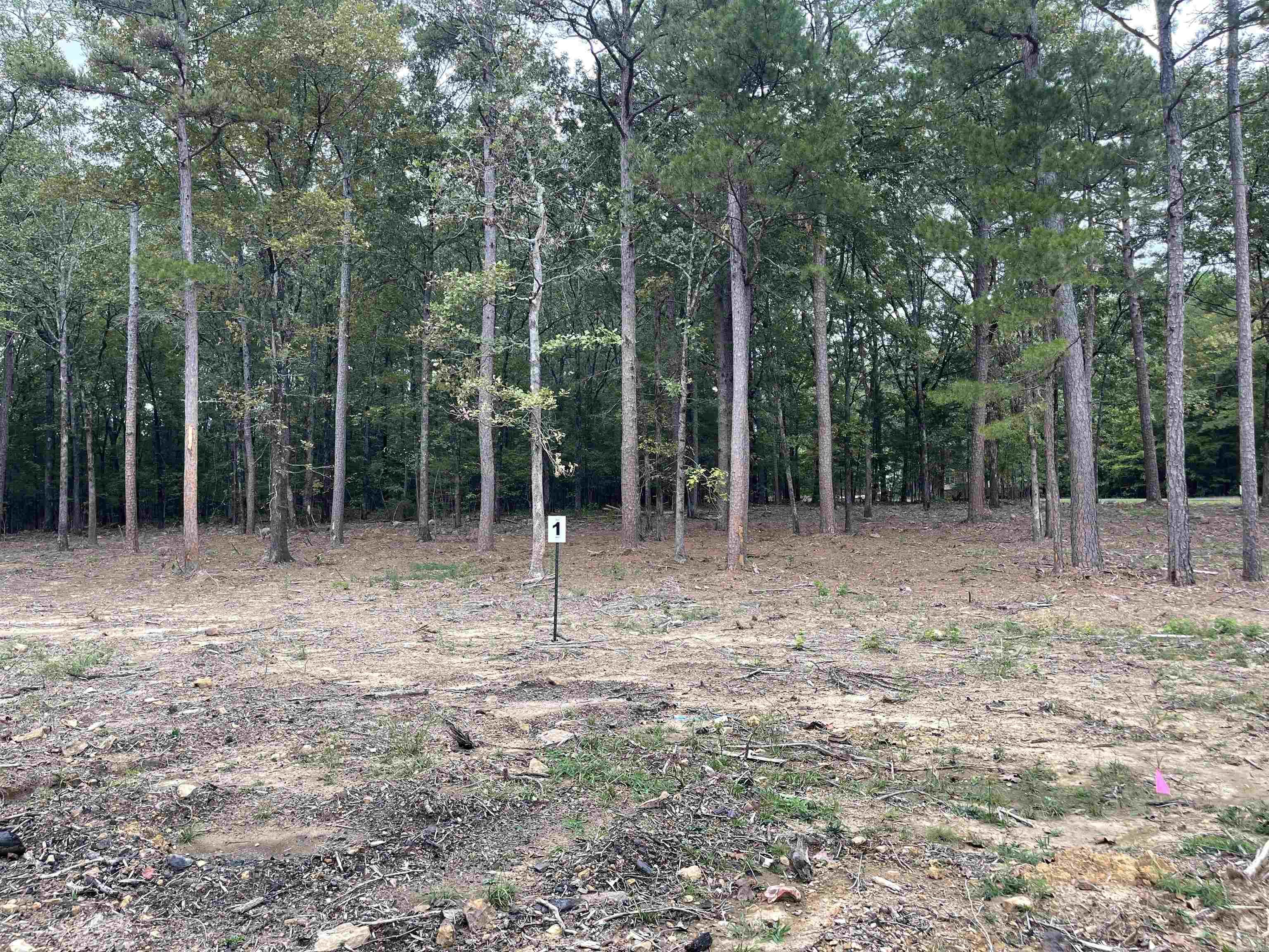 Lot 1 Hudson Pointe Property Photo 10