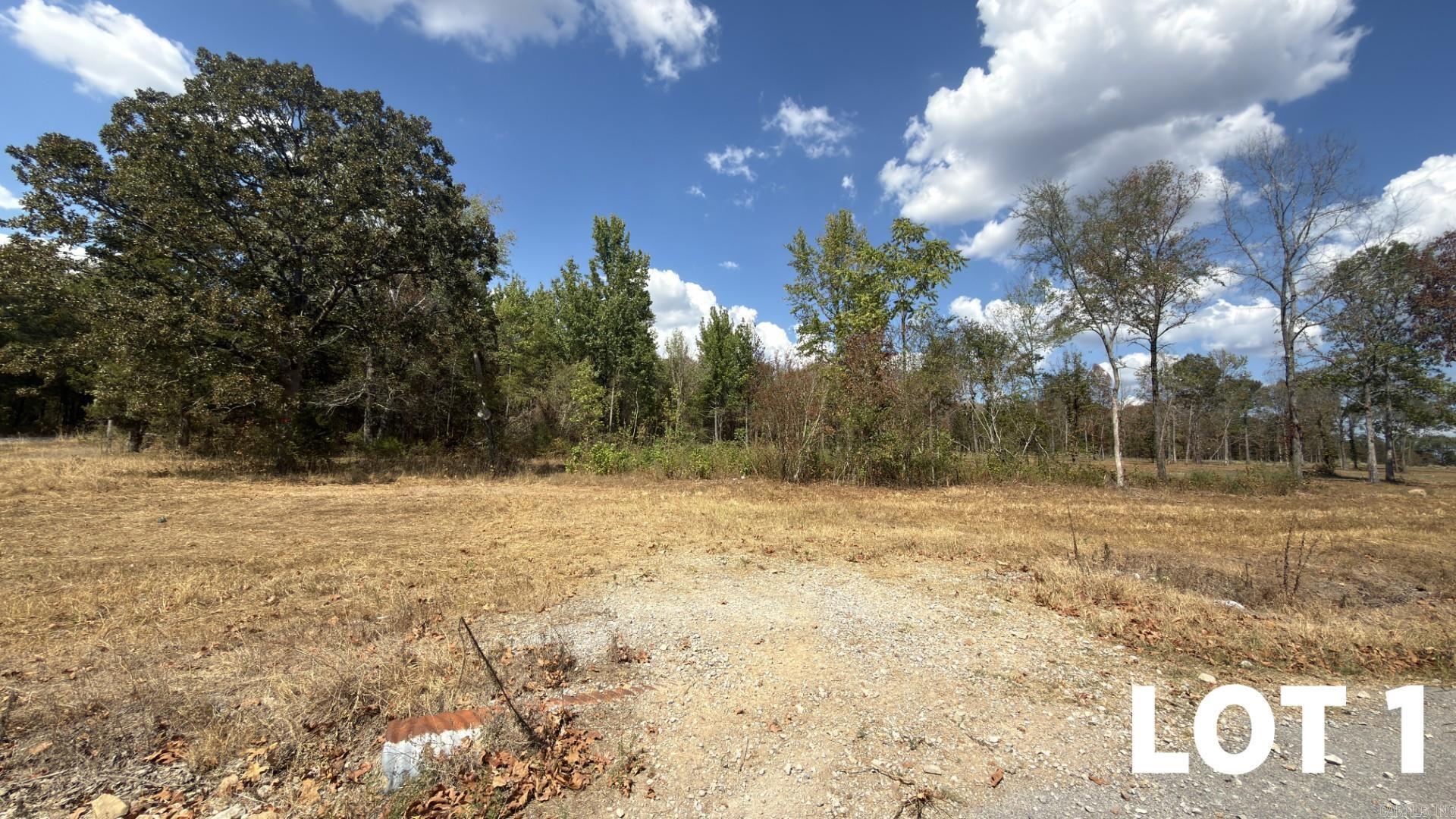 Lot 1 Griffin Road Property Photo 12