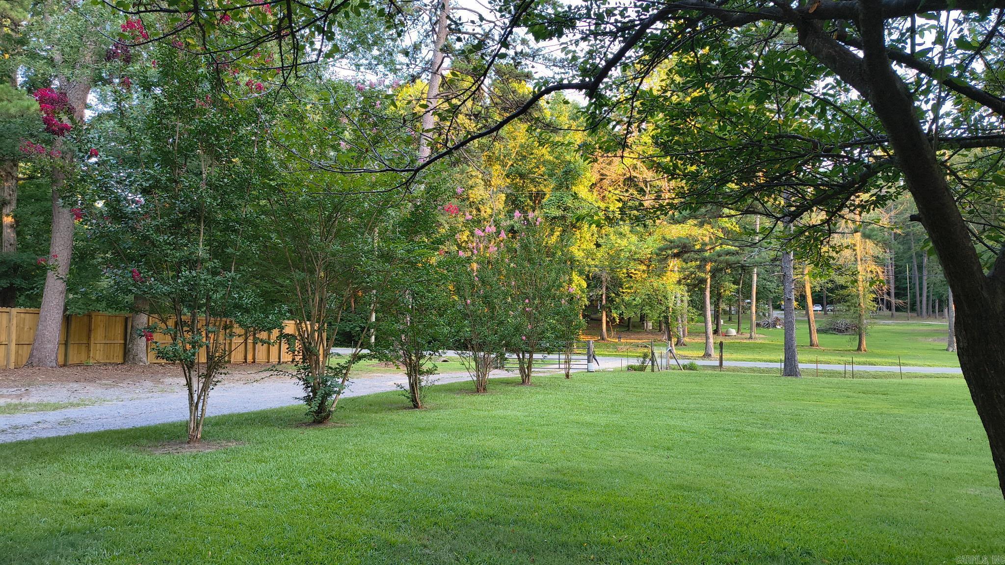 8824 Gina Road Property Photo 6