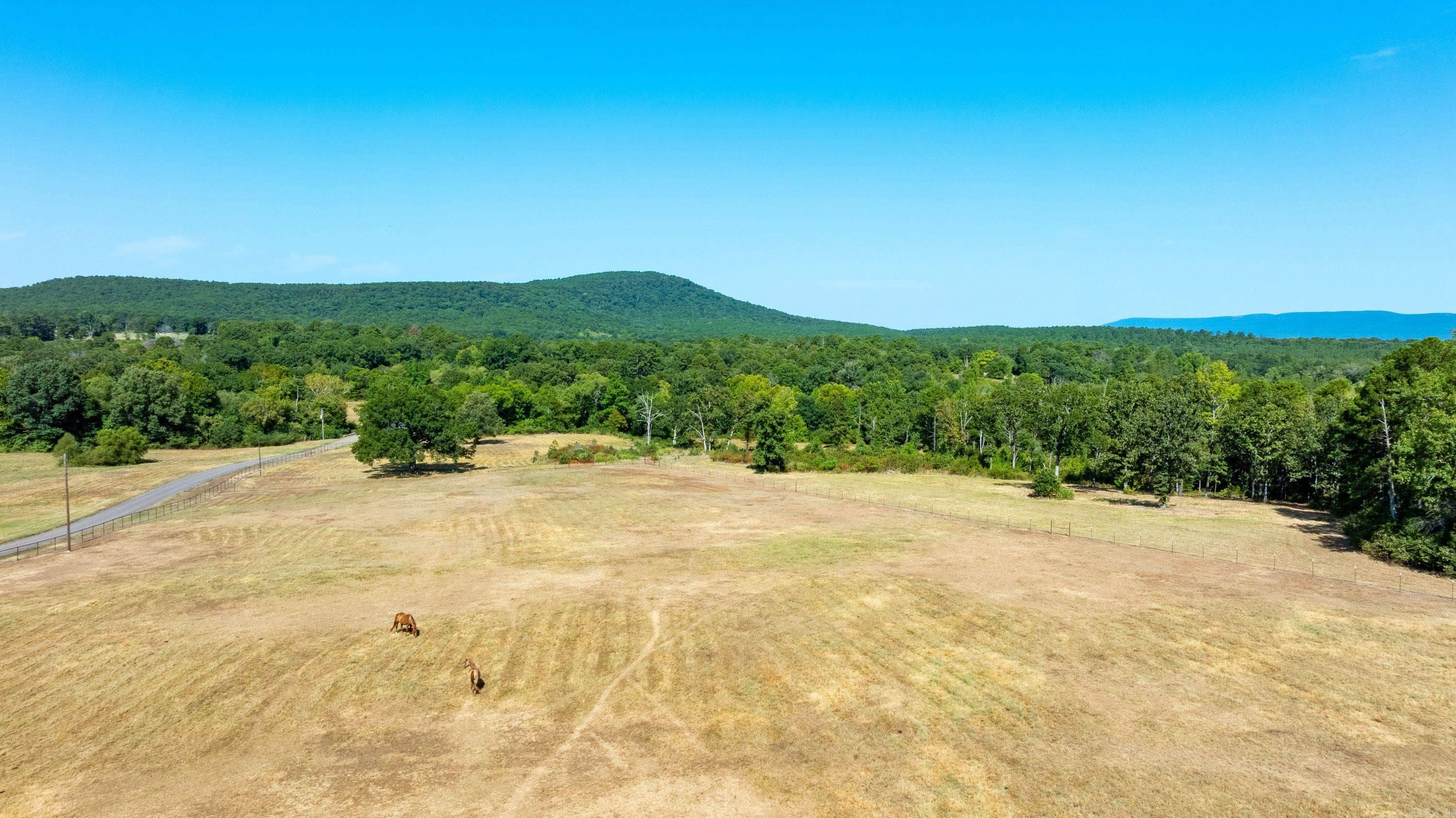 15350 Bailey Branch Rd Property Photo 12