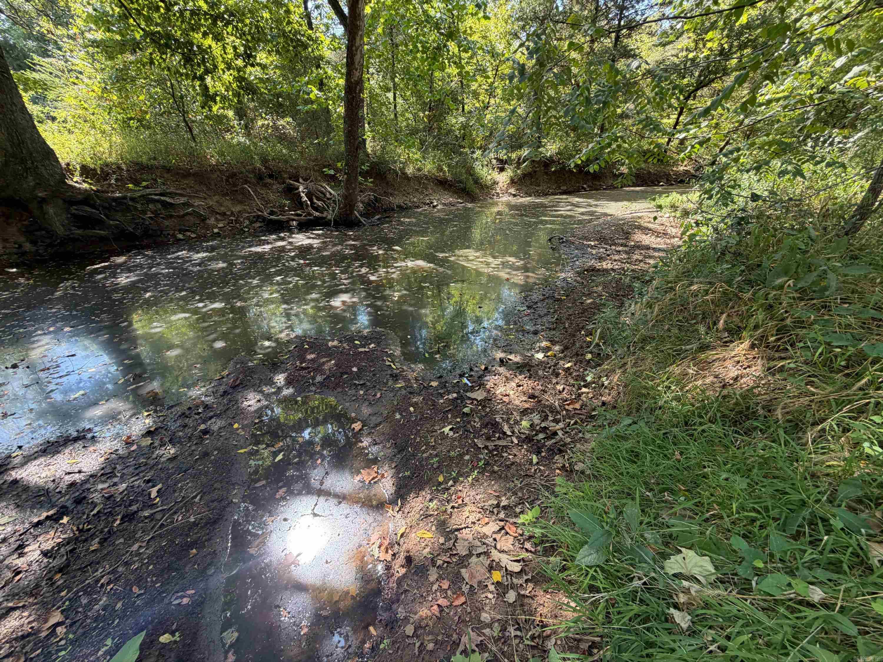15350 Bailey Branch Rd Property Photo 17