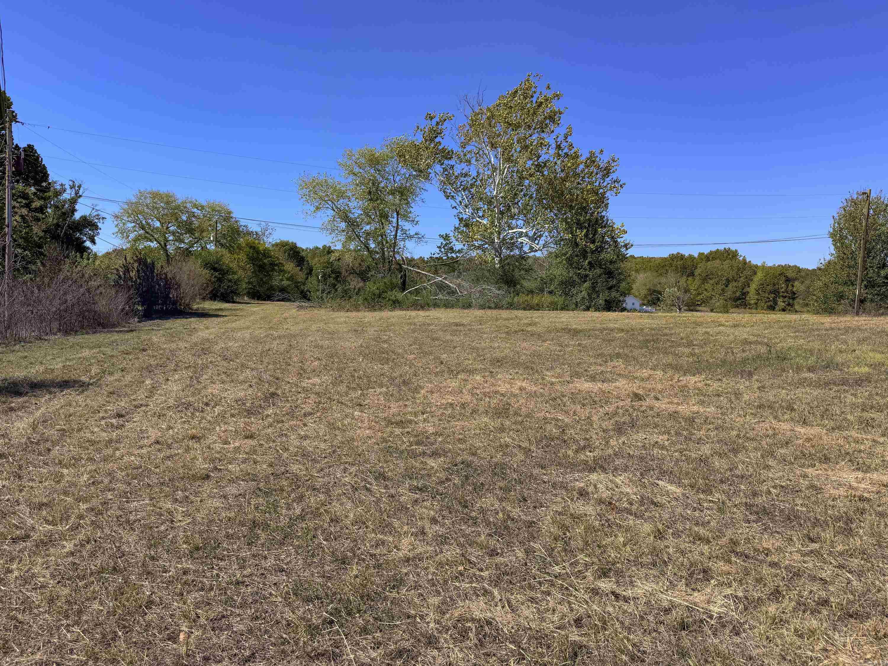 14 Elizabeth Ann Property Photo 3