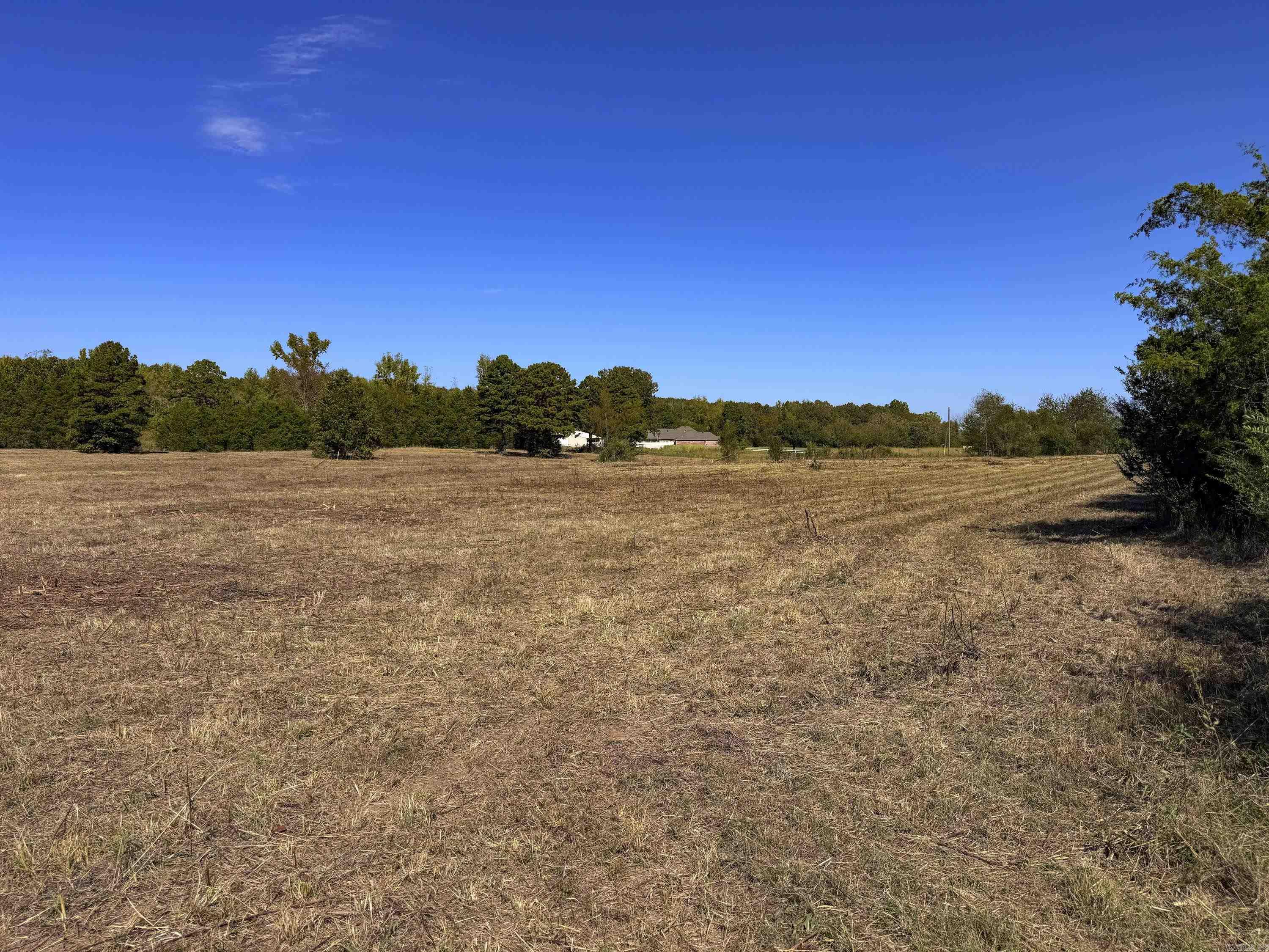 14 Elizabeth Ann Property Photo 6