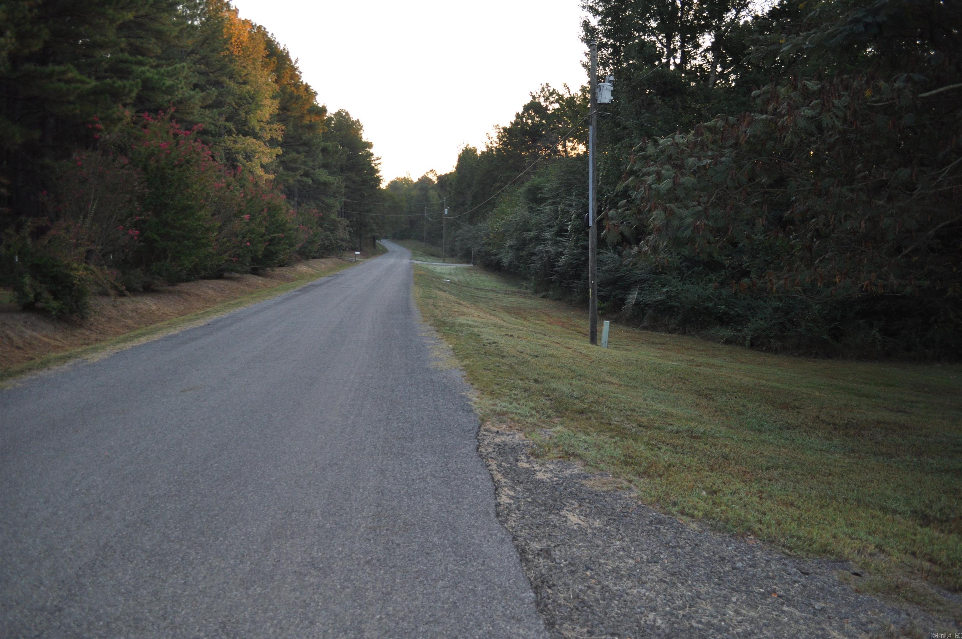 1305 Baker Lake Property Photo 21
