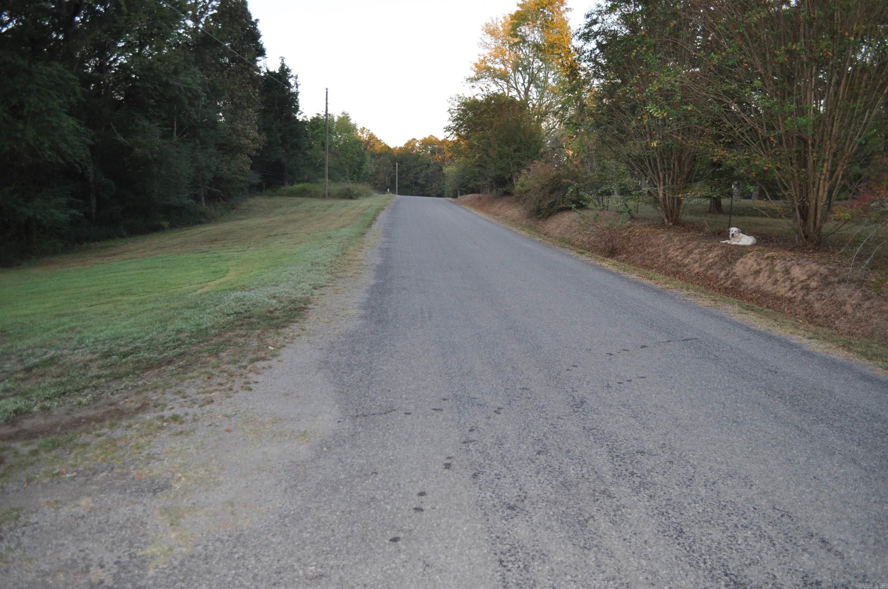 1305 Baker Lake Property Photo 22