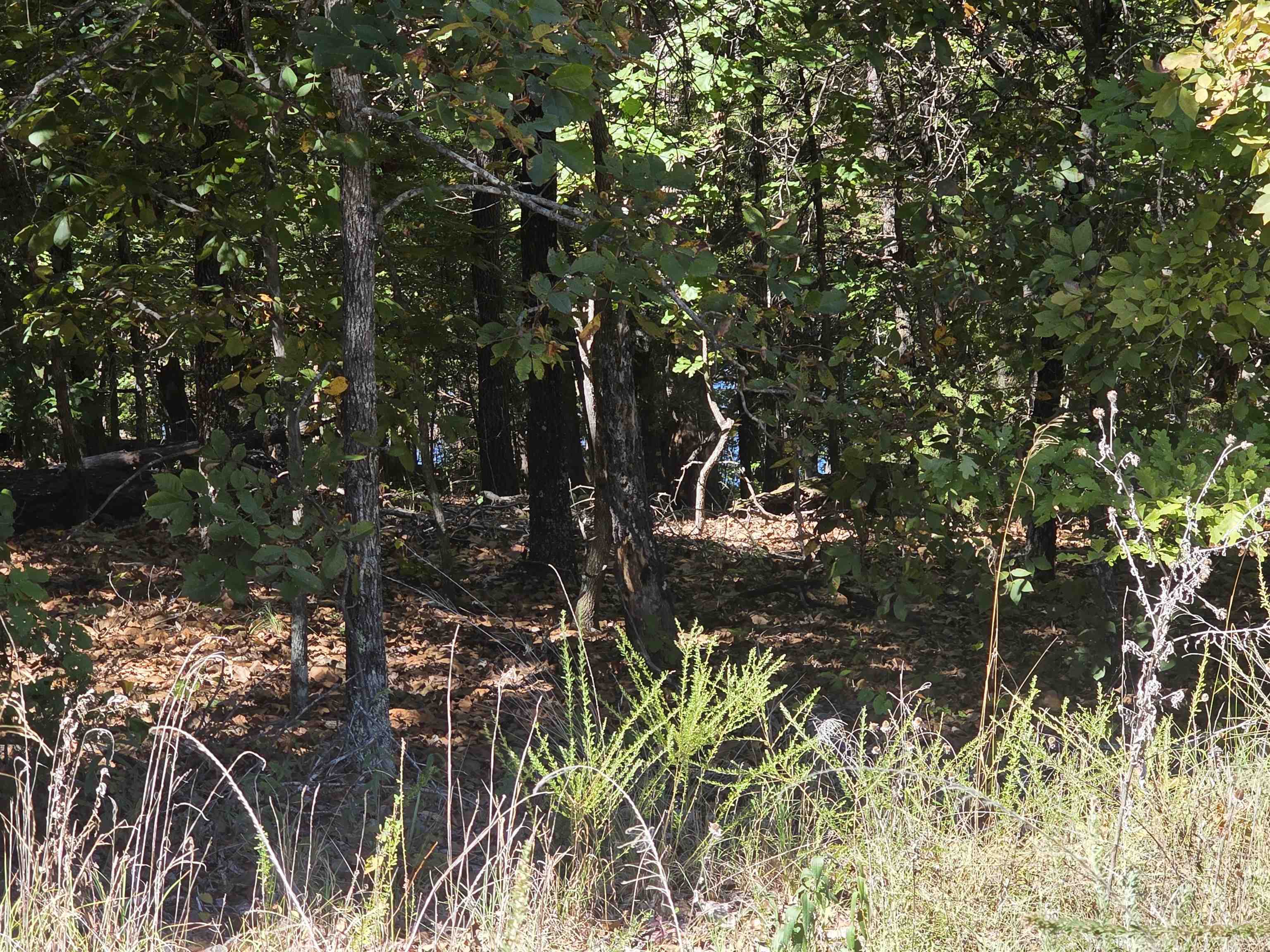 L-78, B-2 San Juan Trail Property Photo 1
