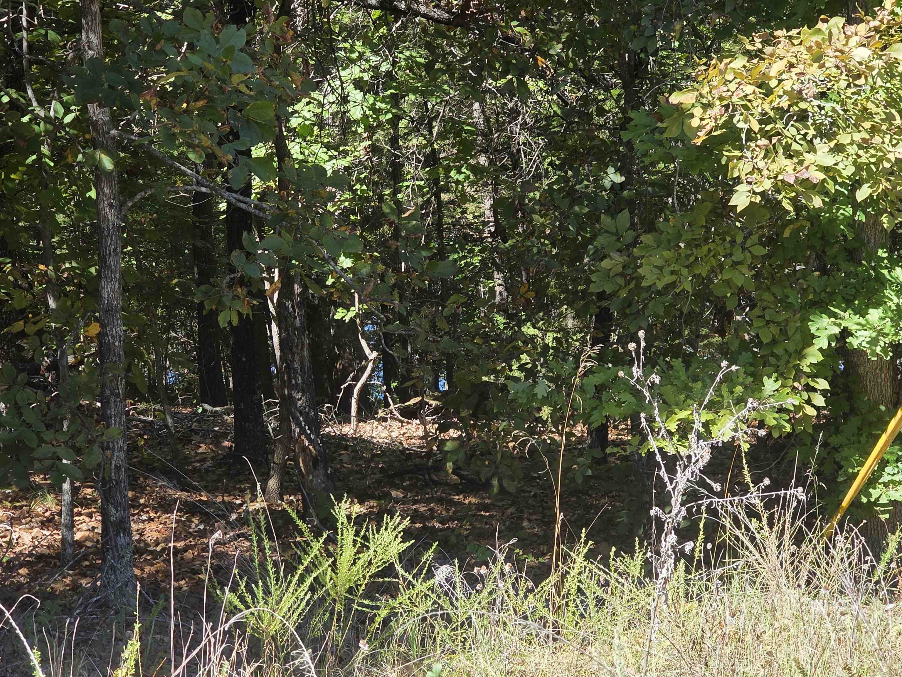 L-78, B-2 San Juan Trail Property Photo 2