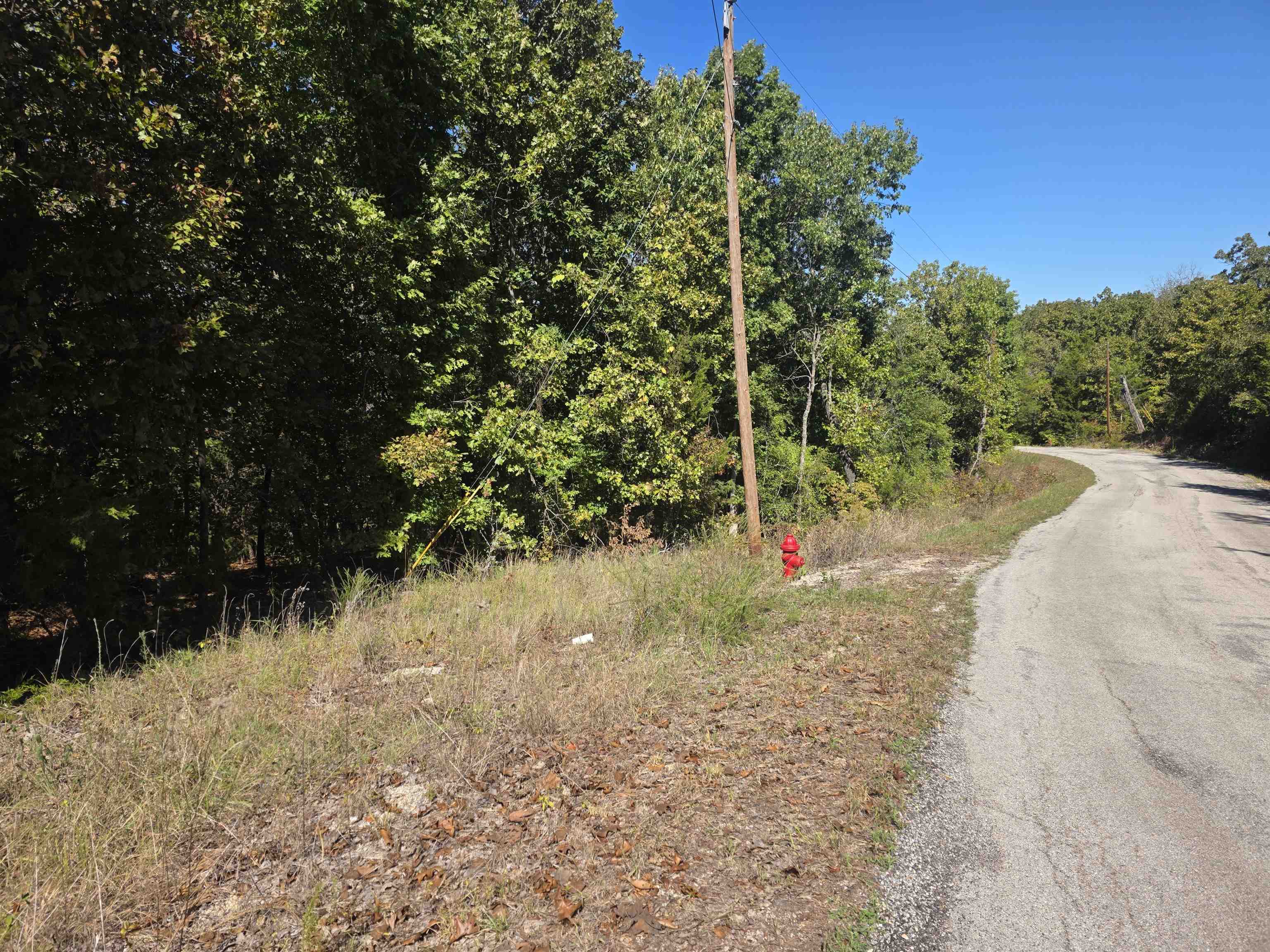 L-78, B-2 San Juan Trail Property Photo 4