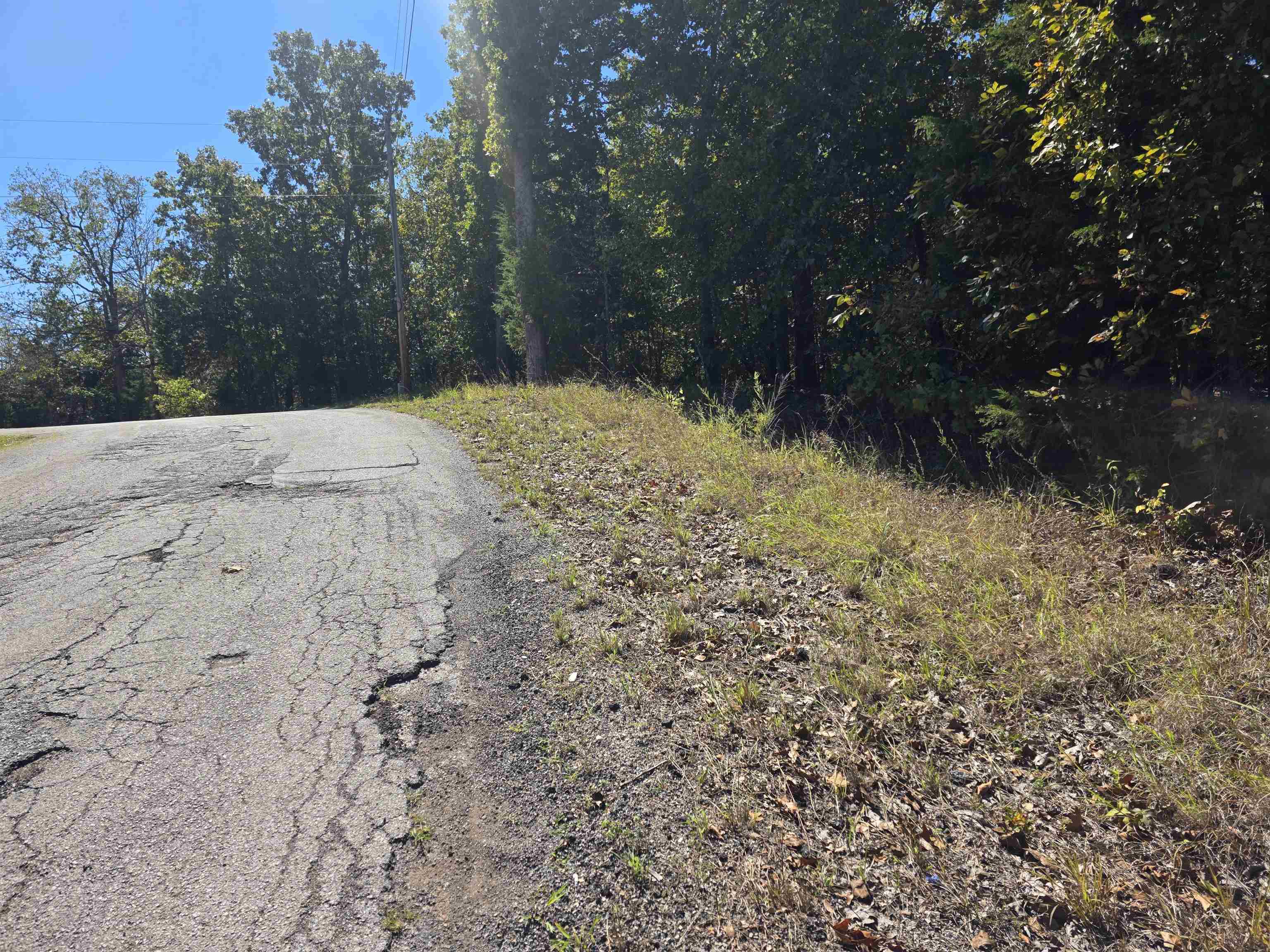 L-78, B-2 San Juan Trail Property Photo 5