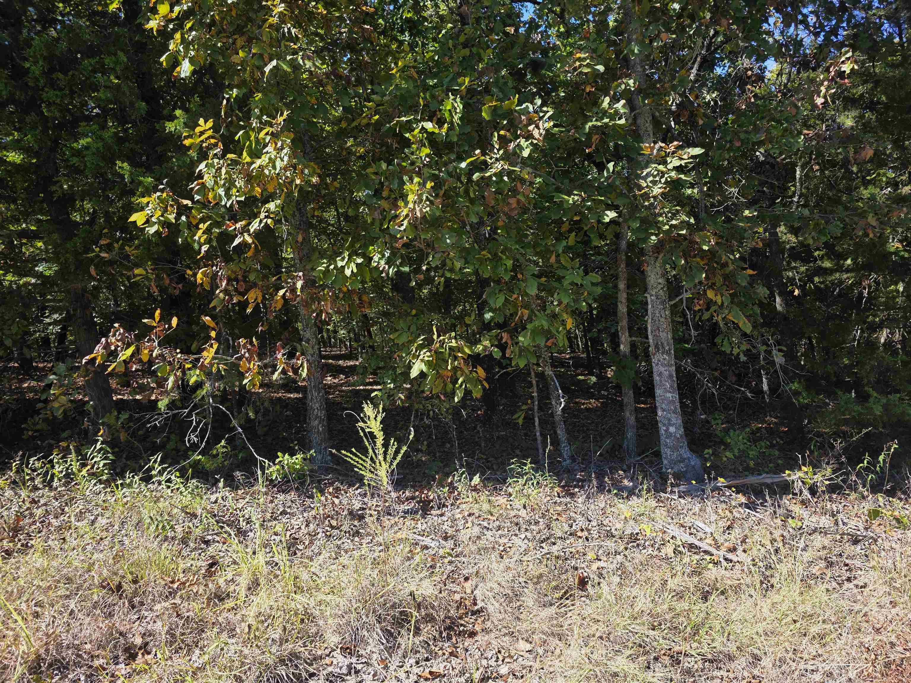L-78, B-2 San Juan Trail Property Photo 6