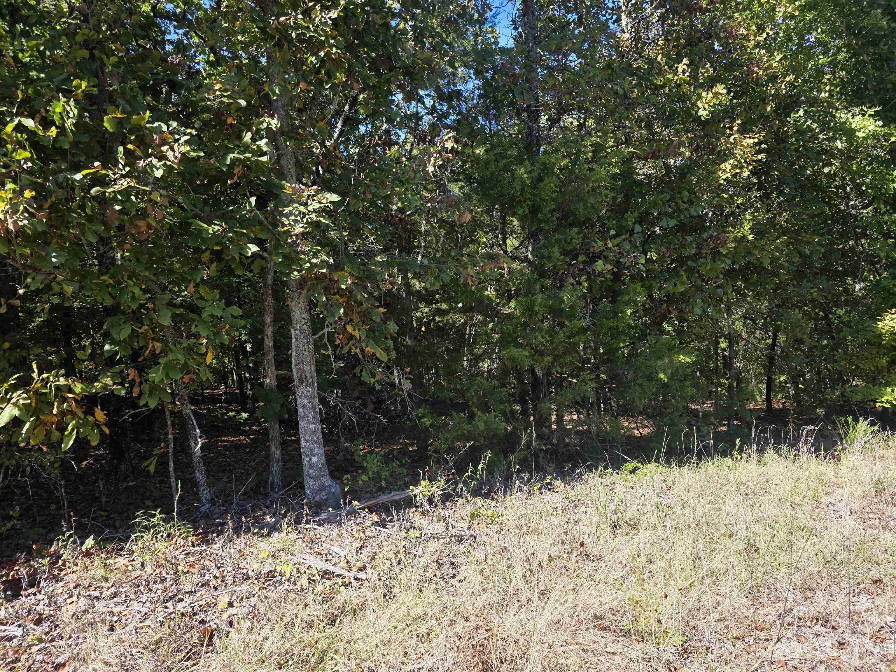 L-78, B-2 San Juan Trail Property Photo 7