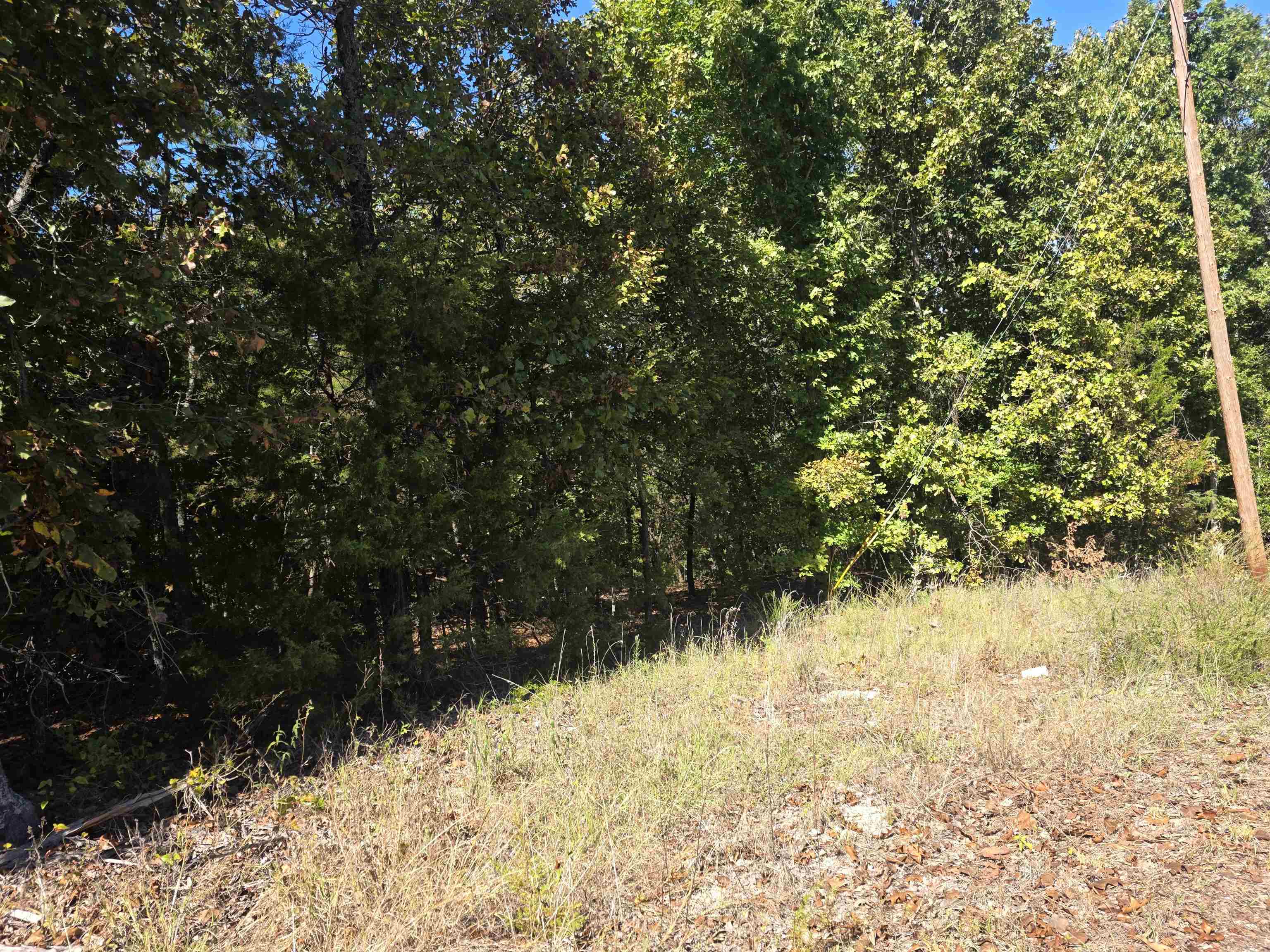 L-78, B-2 San Juan Trail Property Photo 8