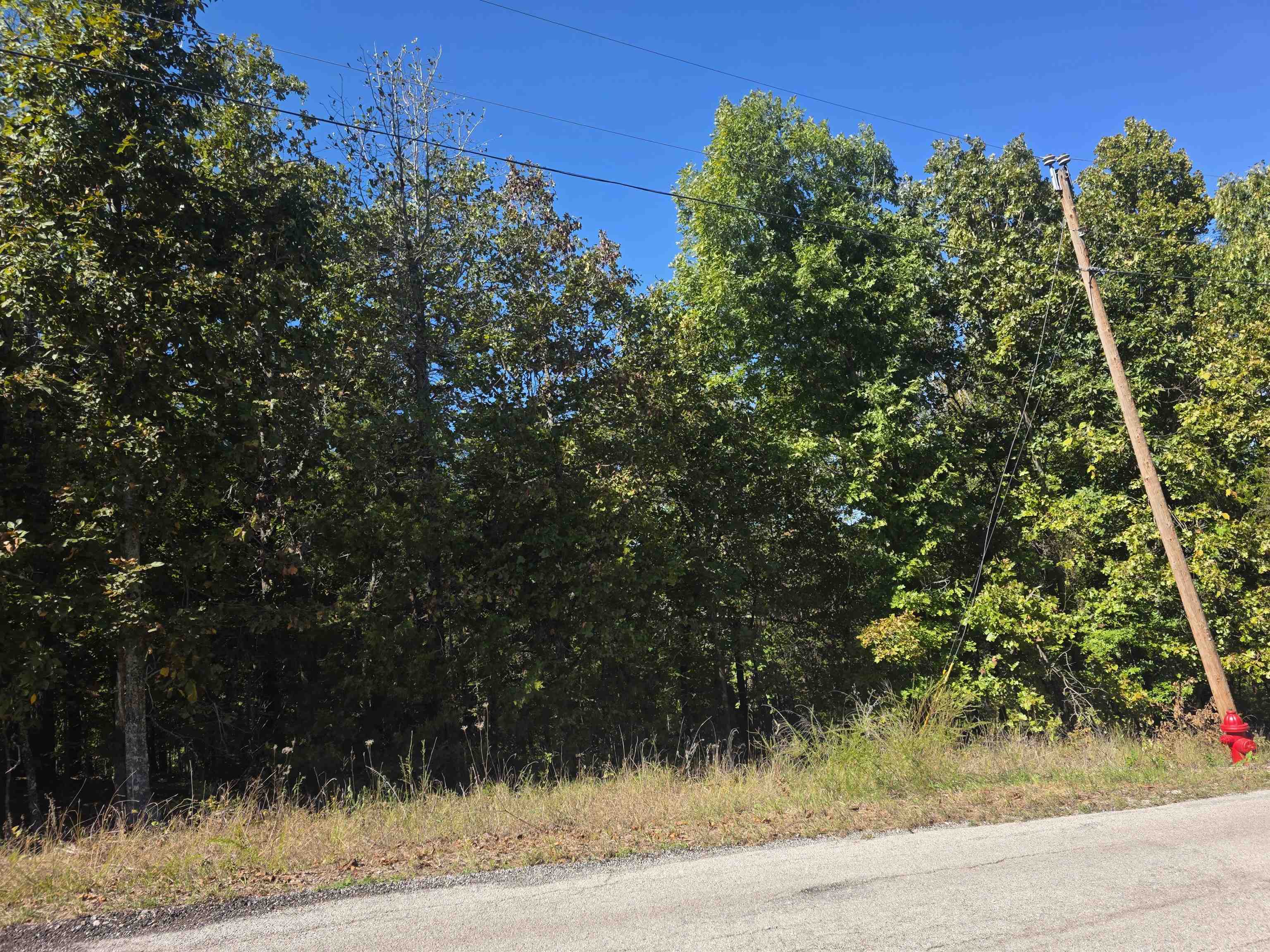 L-78, B-2 San Juan Trail Property Photo 10