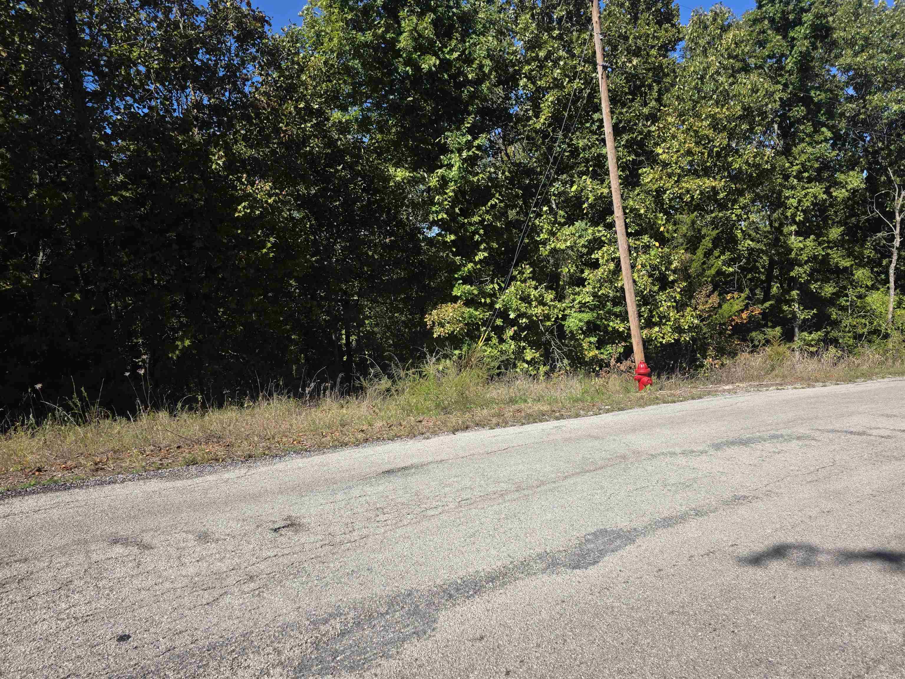 L-78, B-2 San Juan Trail Property Photo 11
