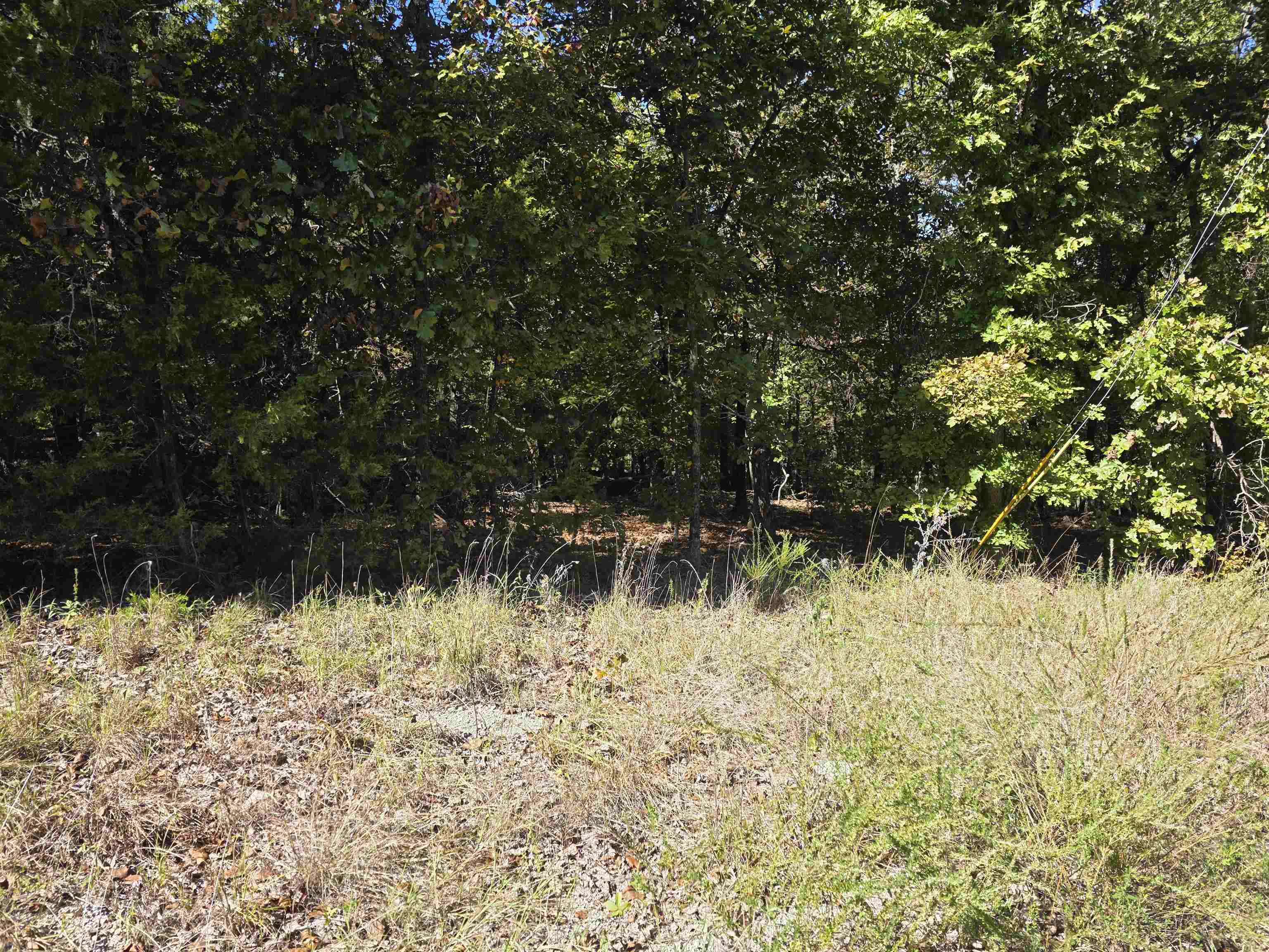 L-78, B-2 San Juan Trail Property Photo 12