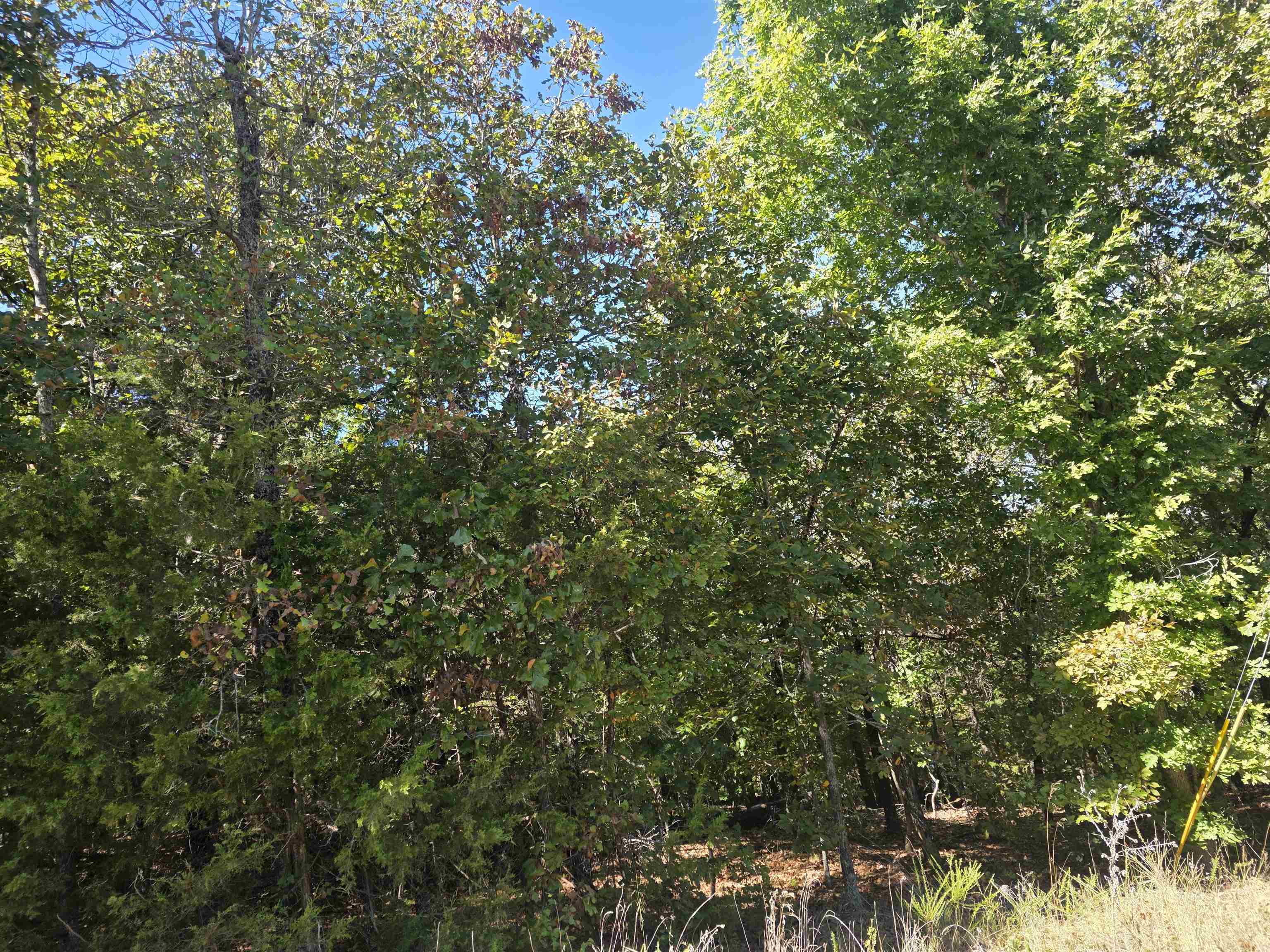 L-78, B-2 San Juan Trail Property Photo 13
