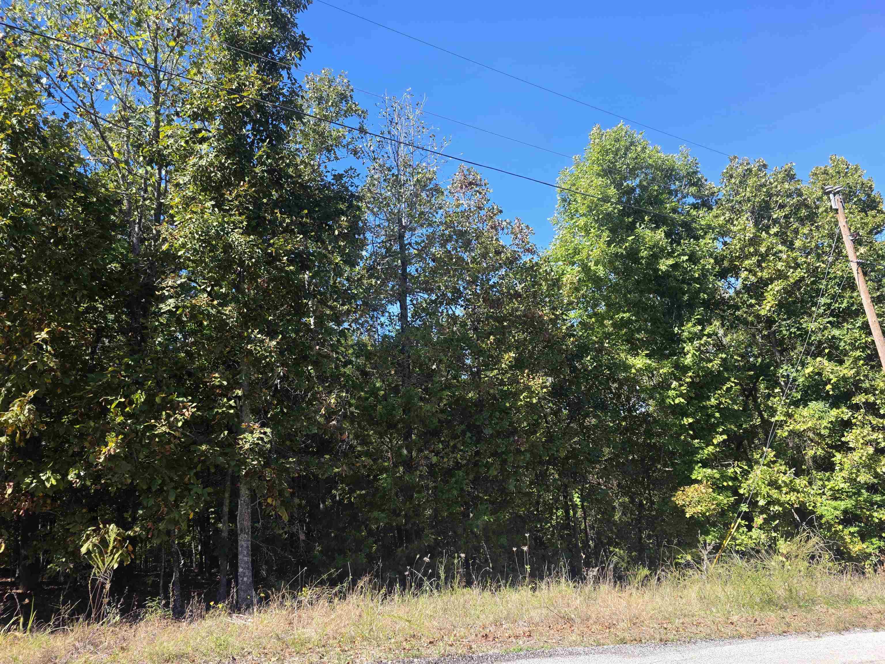 L-78, B-2 San Juan Trail Property Photo 15