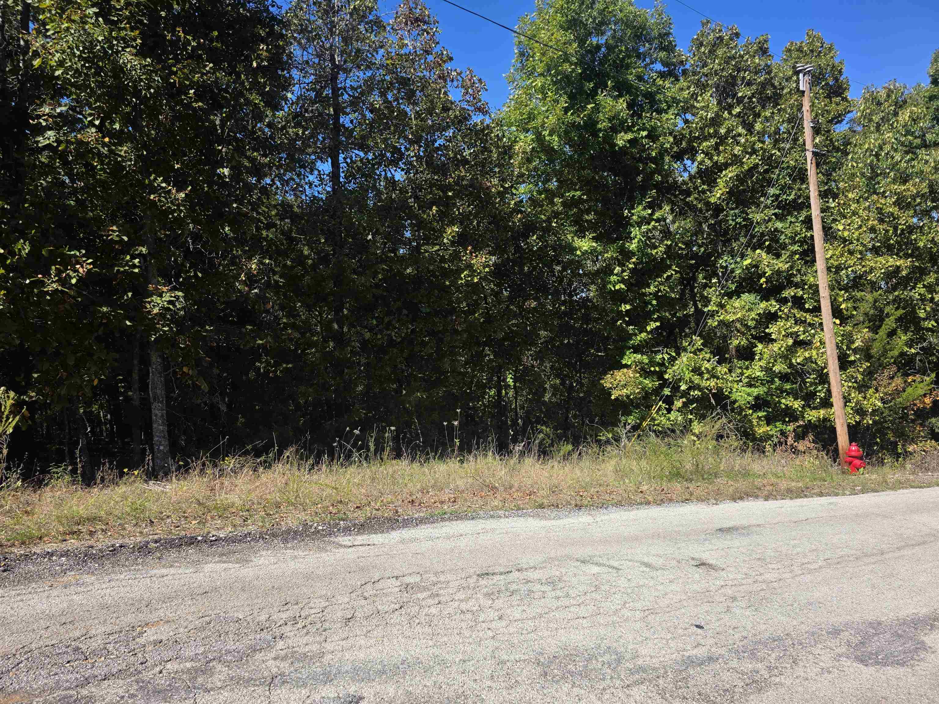L-78, B-2 San Juan Trail Property Photo 16