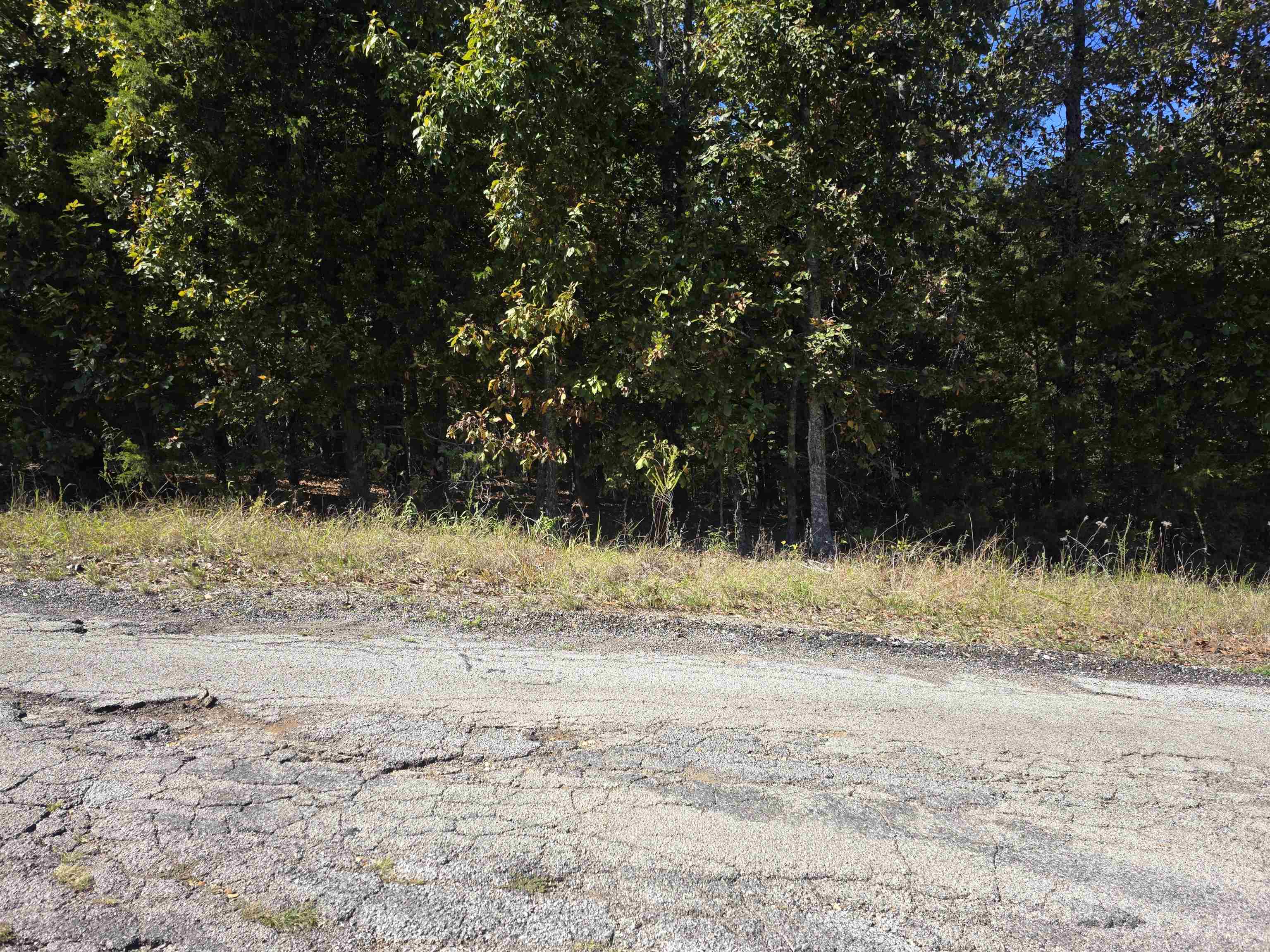 L-78, B-2 San Juan Trail Property Photo 17
