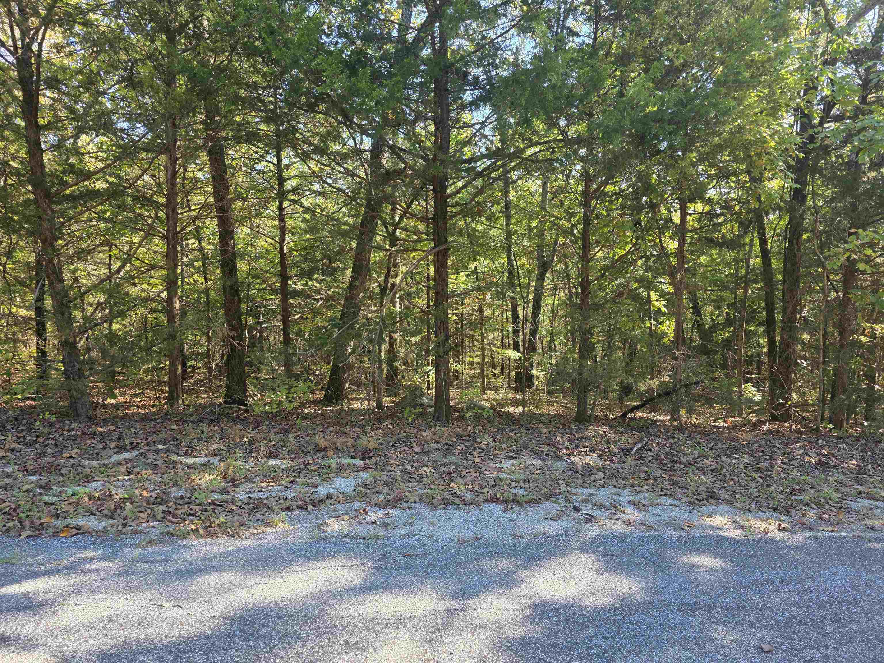 1007 E Wisconsin Avenue Property Photo 5
