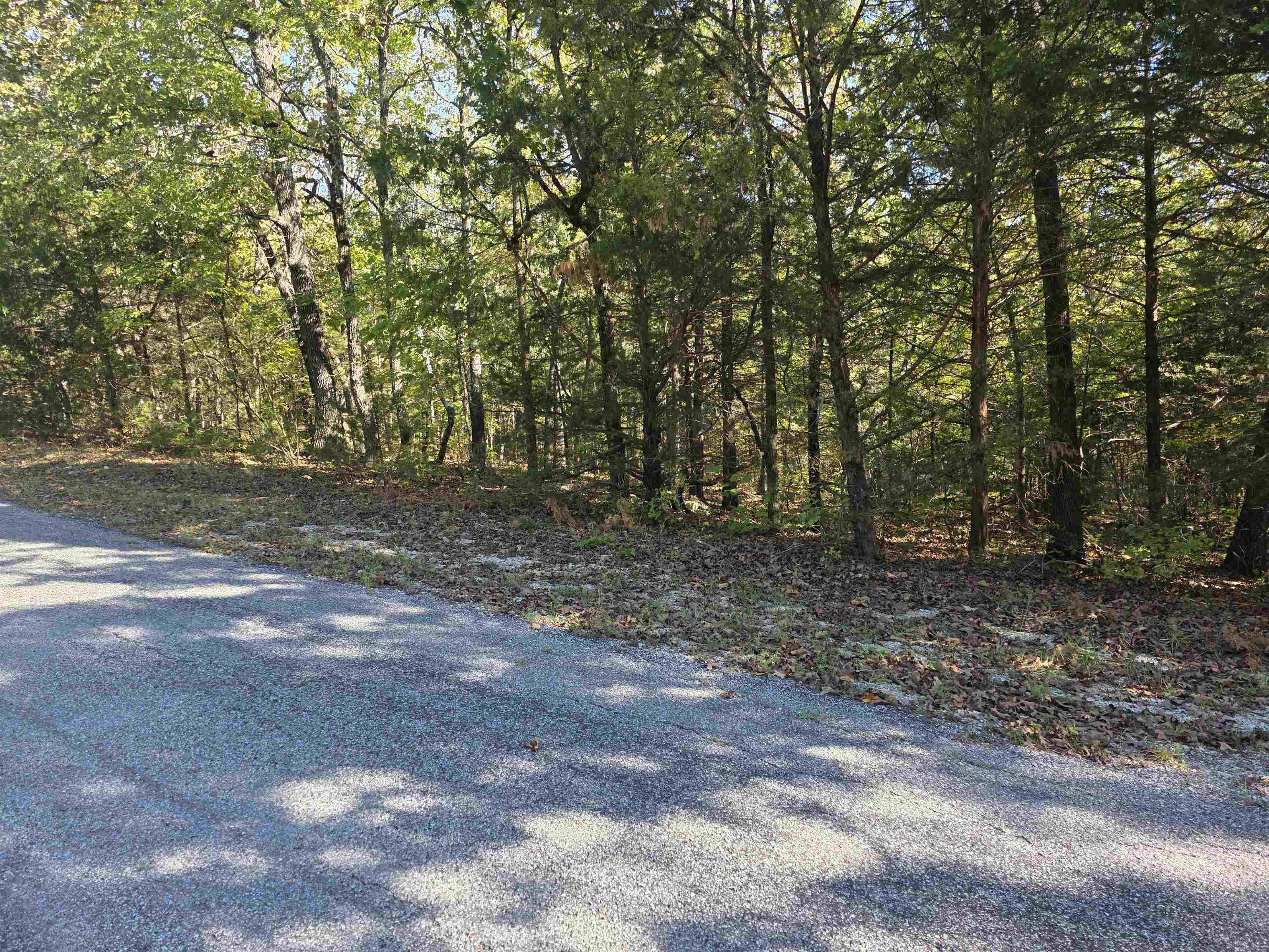 1007 E Wisconsin Avenue Property Photo 6