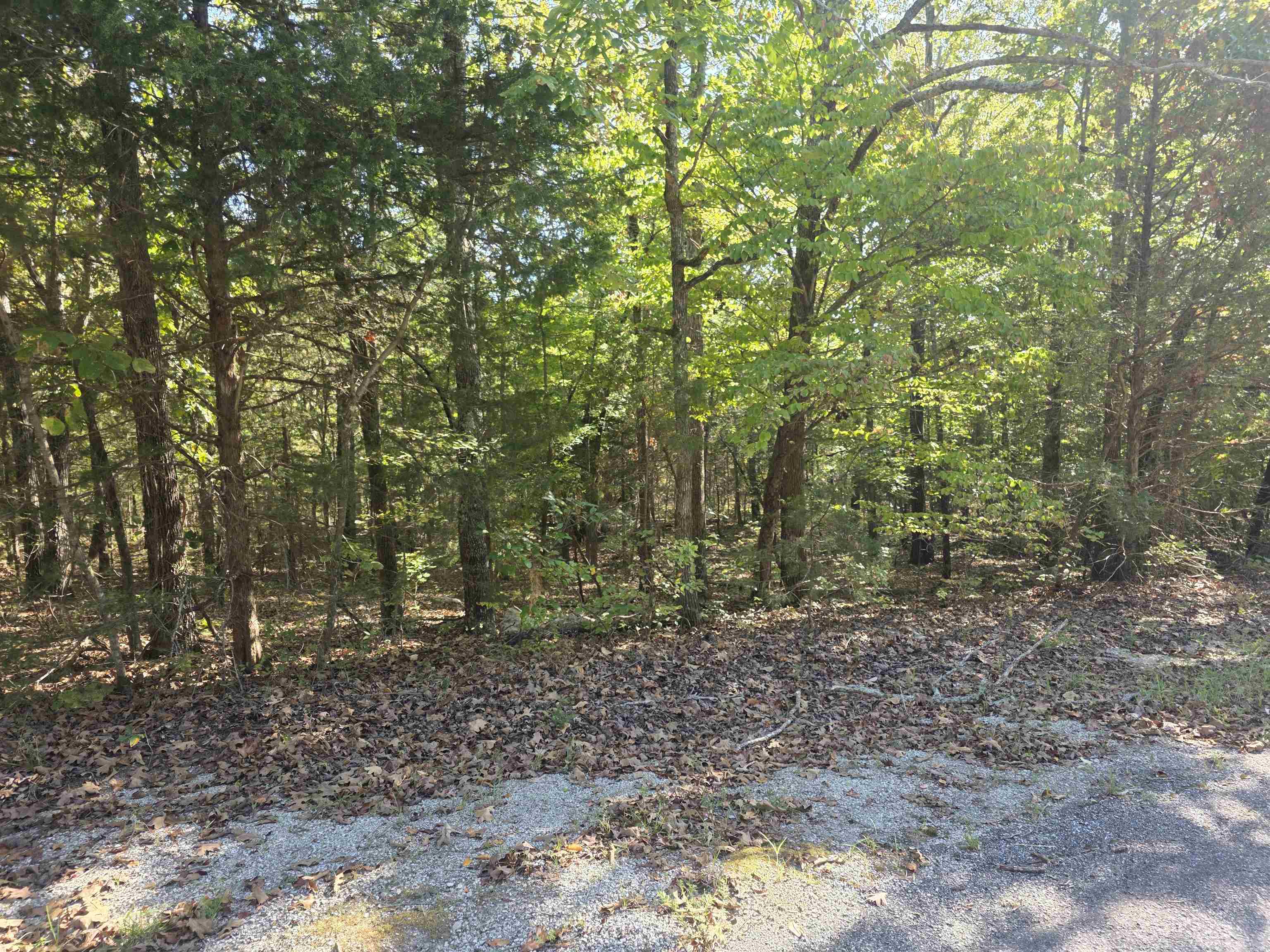 1007 E Wisconsin Avenue Property Photo 15