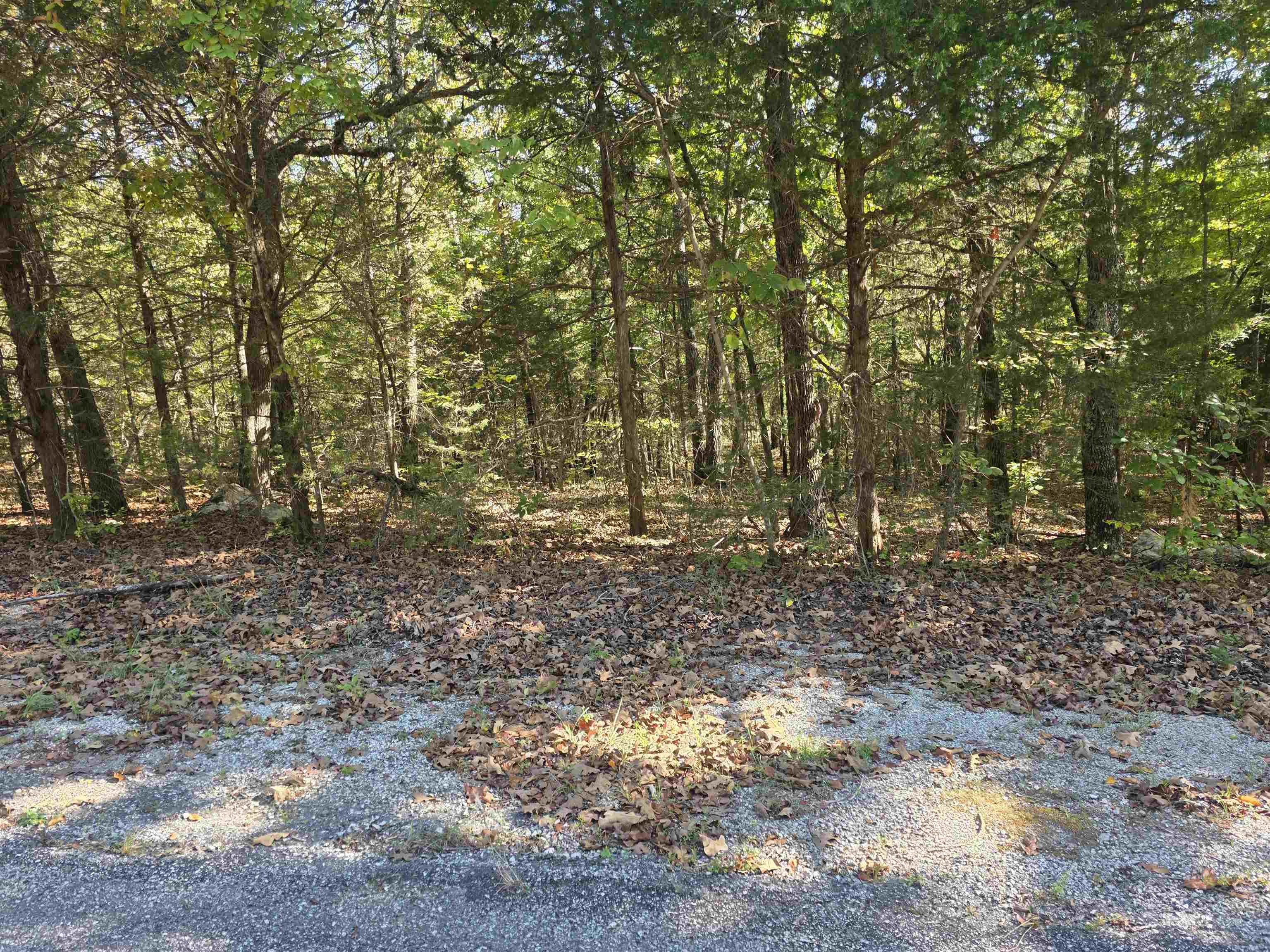 1007 E Wisconsin Avenue Property Photo 16