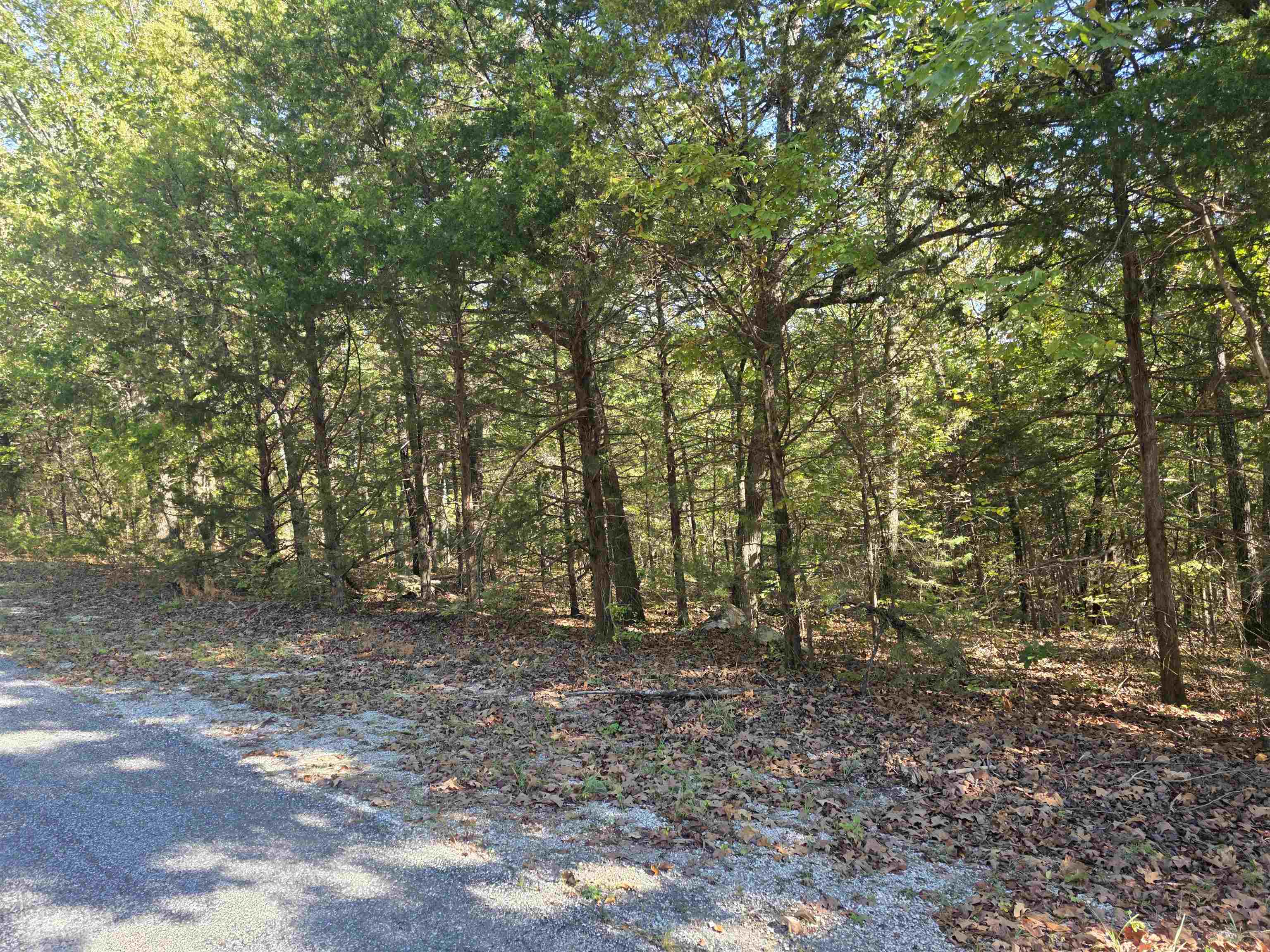 1007 E Wisconsin Avenue Property Photo 18
