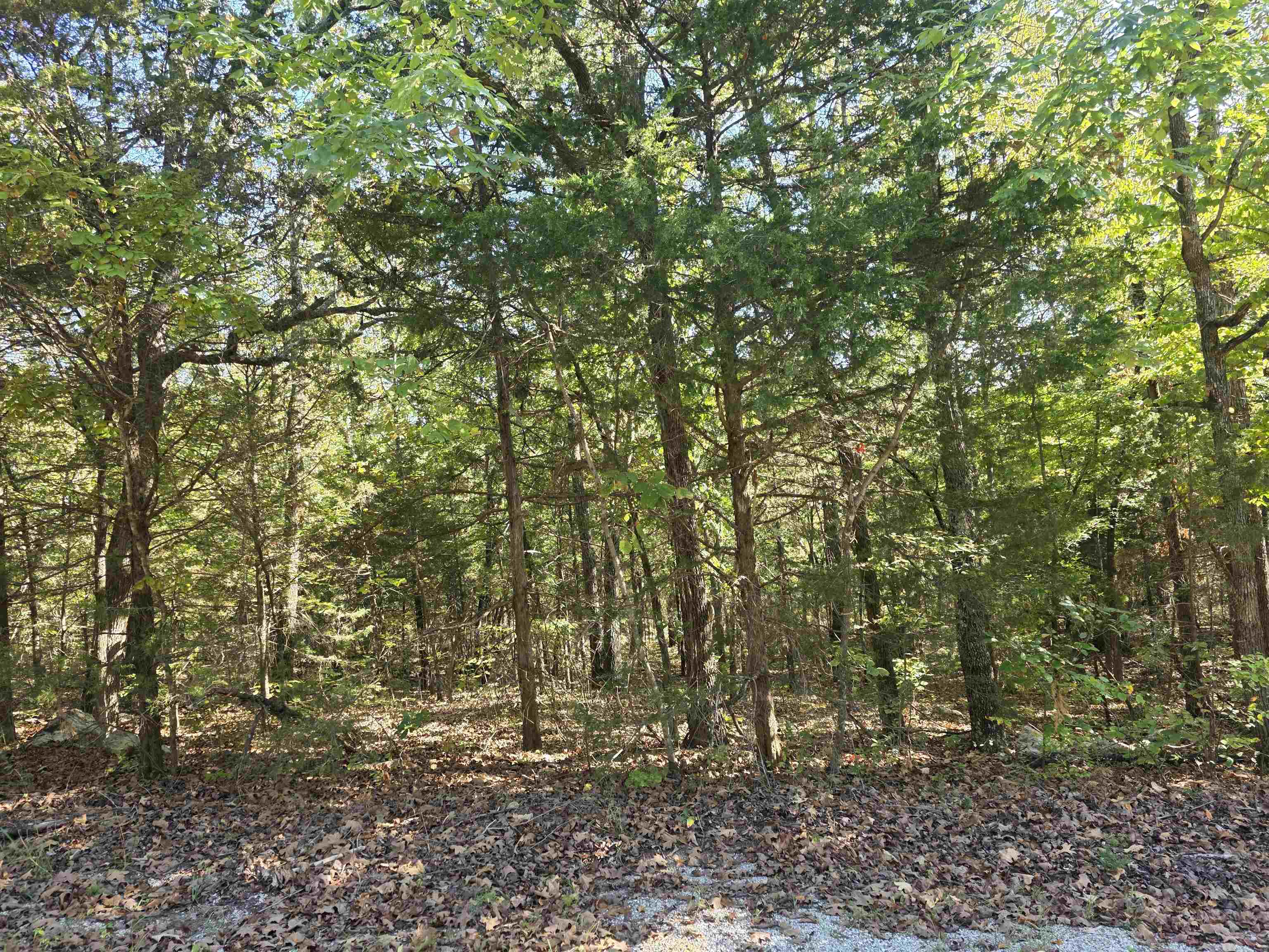 1007 E Wisconsin Avenue Property Photo 19