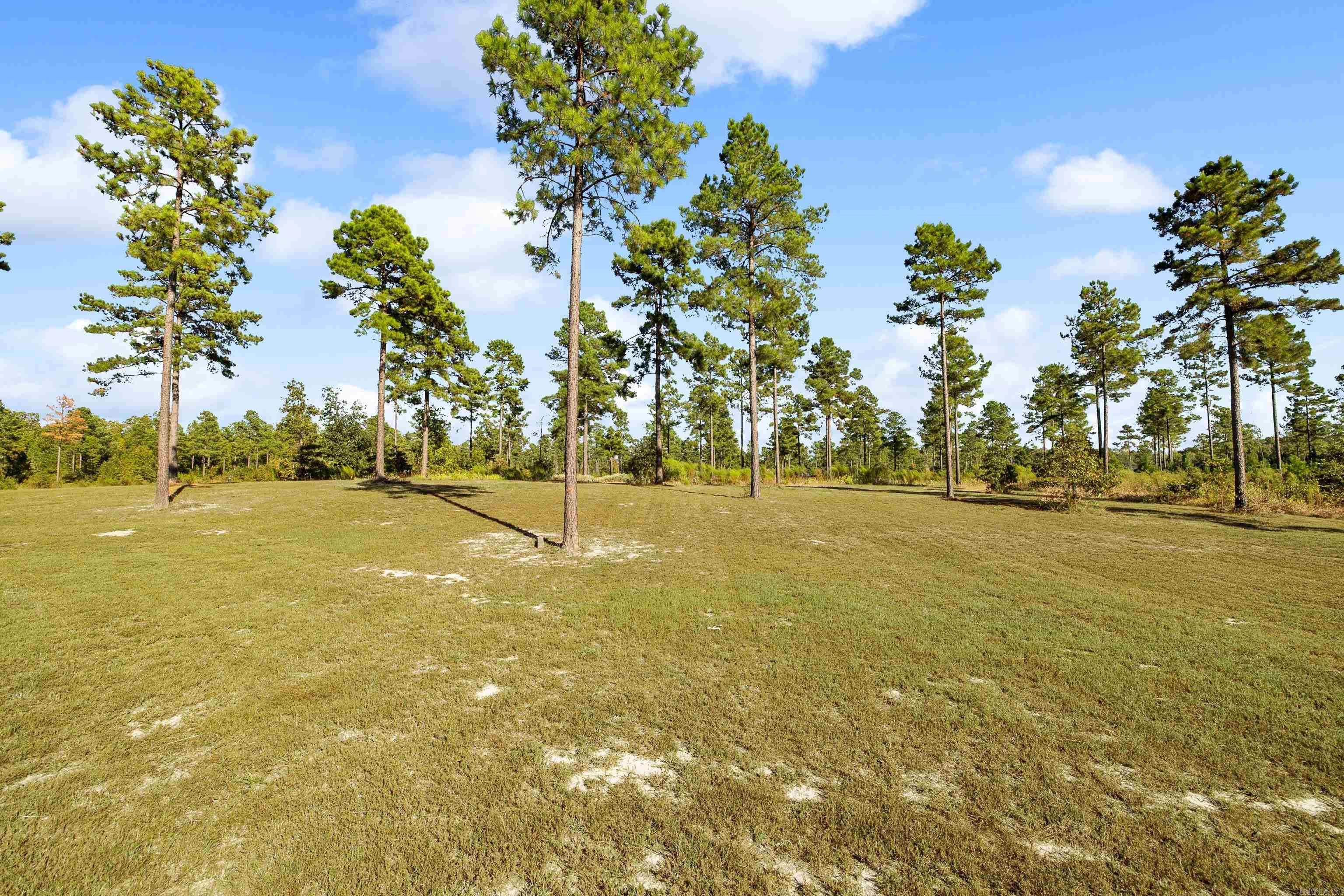 12801 Mars Hill Rd Property Photo 43
