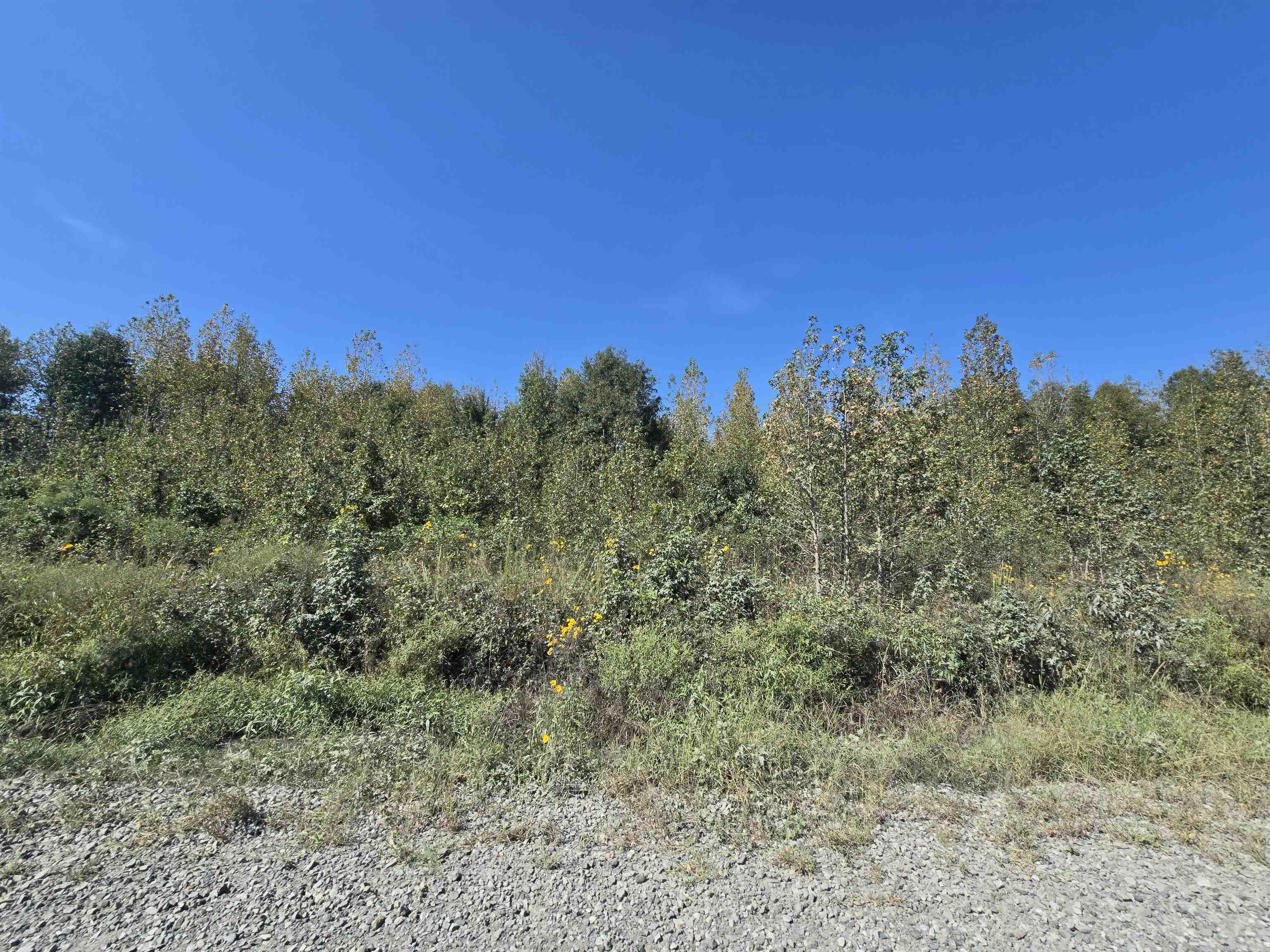 Tbd Tucker Road Property Photo 3