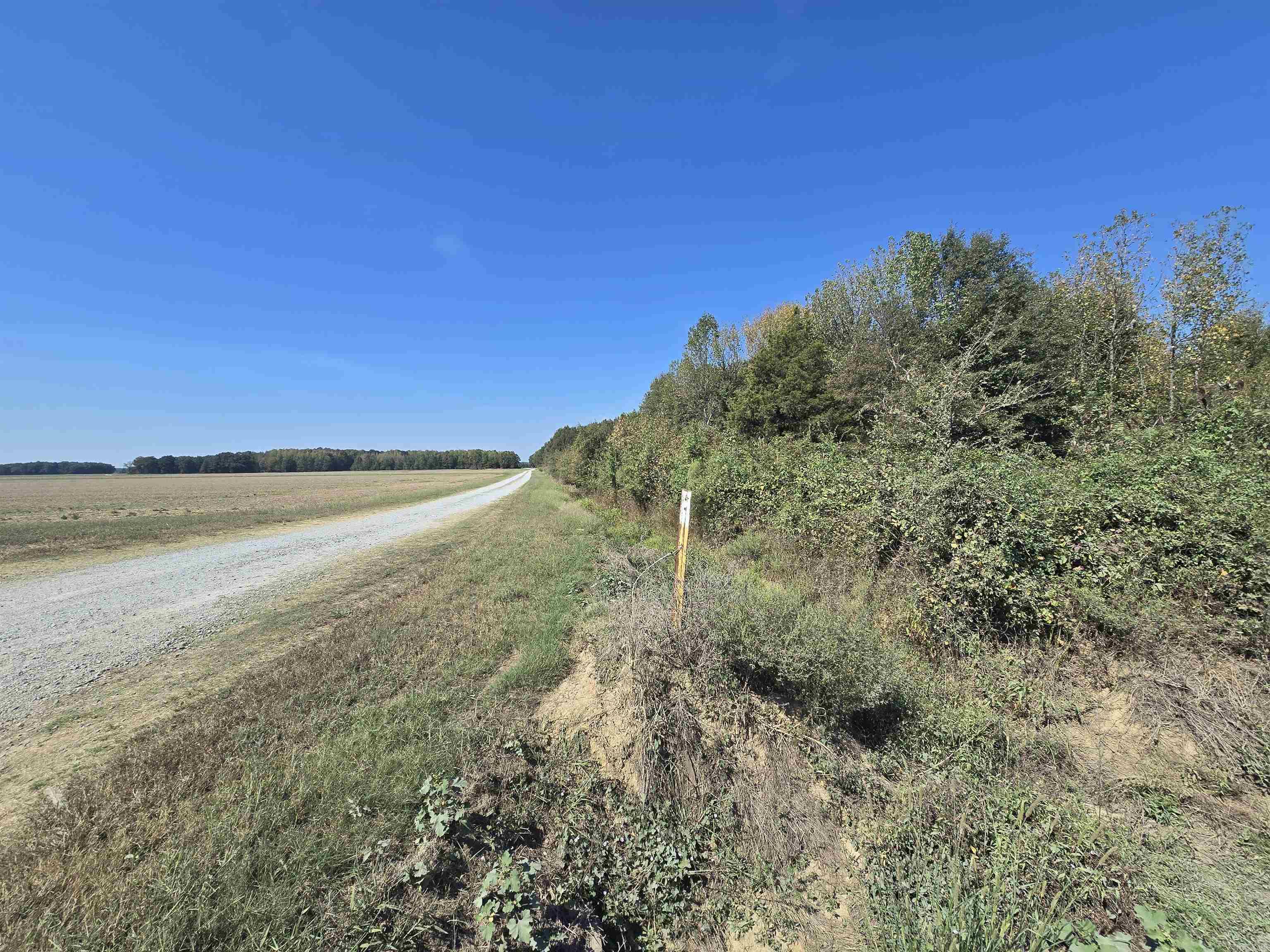 Tbd Tucker Road Property Photo 4