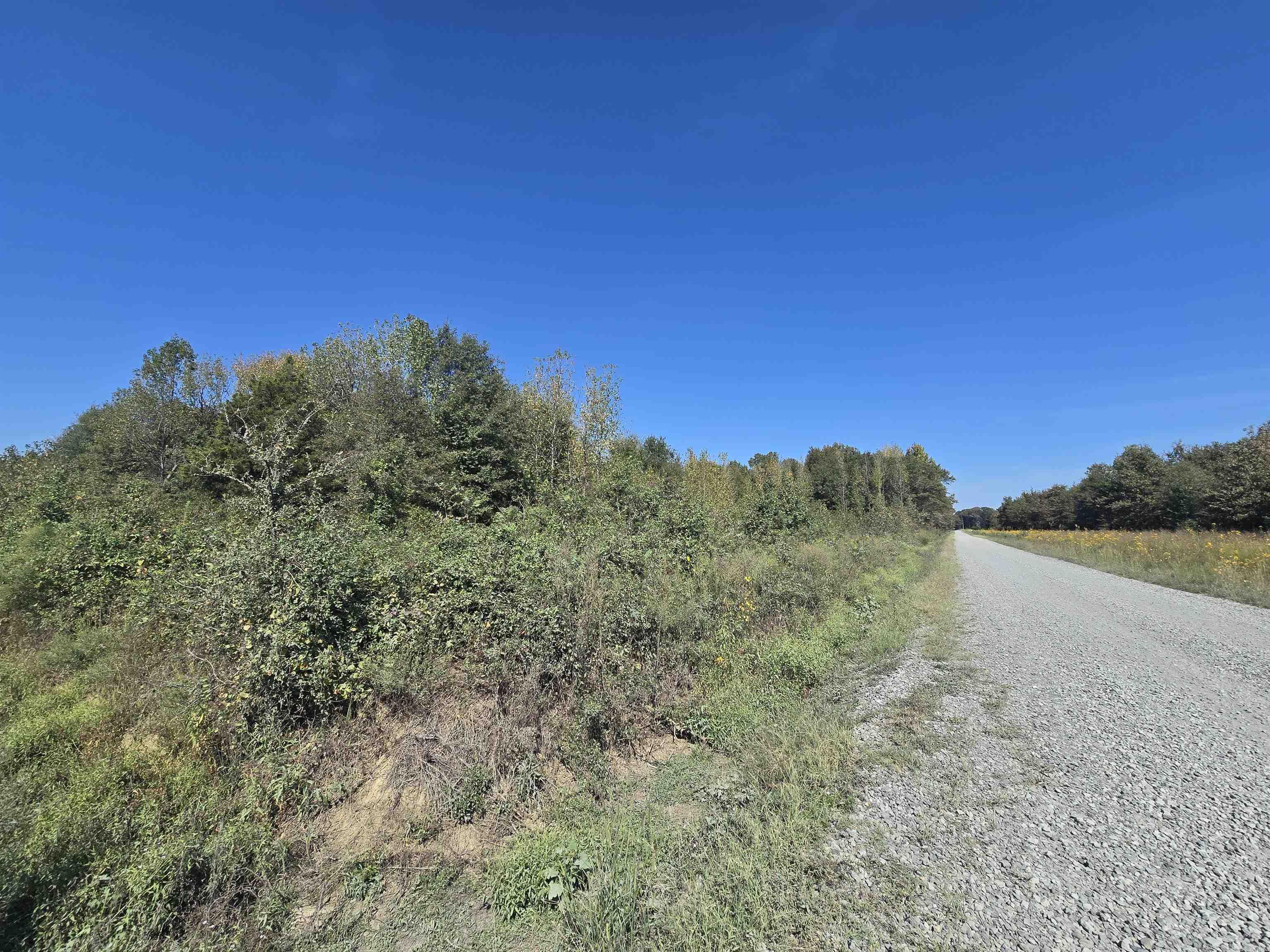 Tbd Tucker Road Property Photo 5
