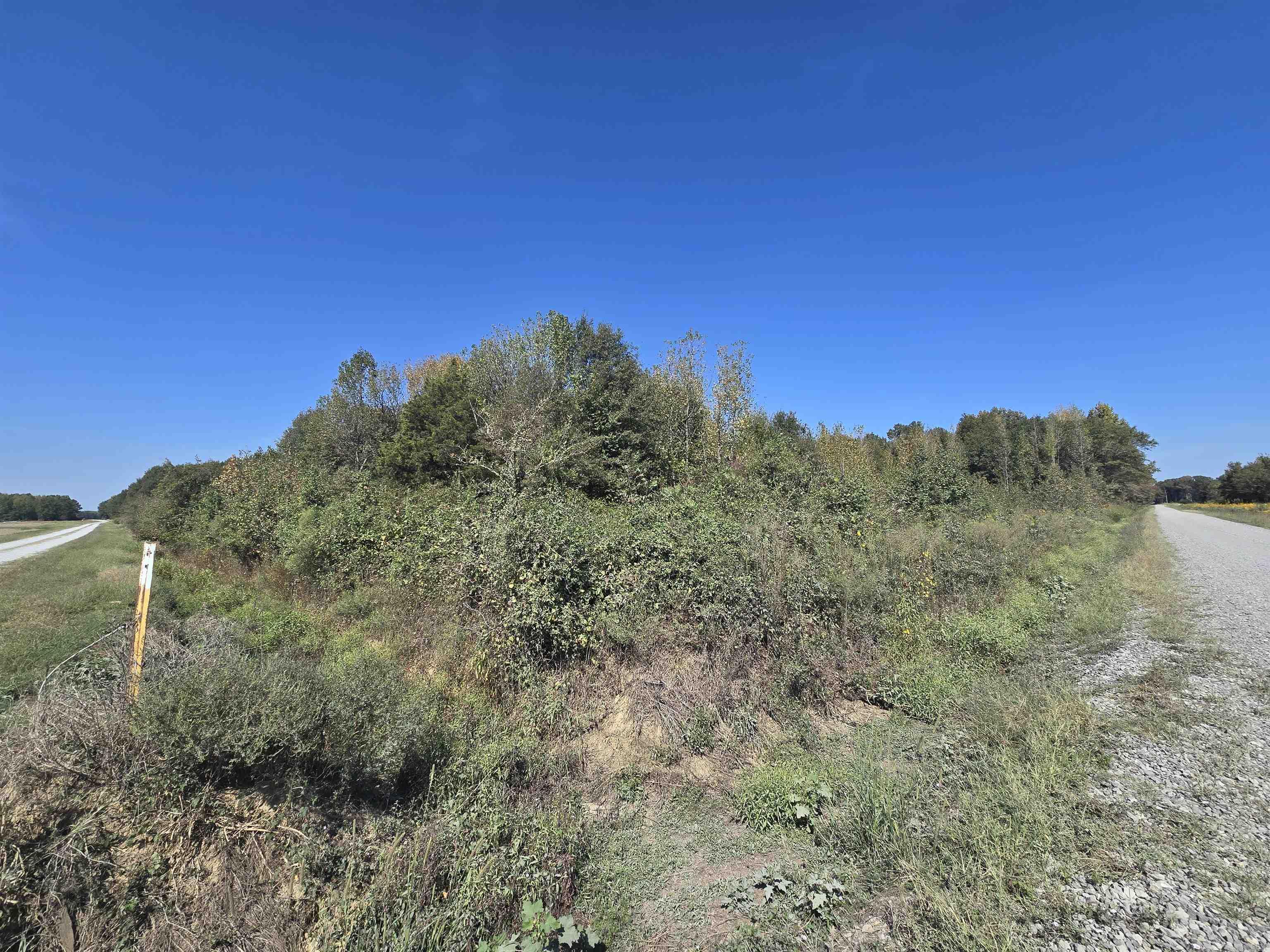 Tbd Tucker Road Property Photo 6